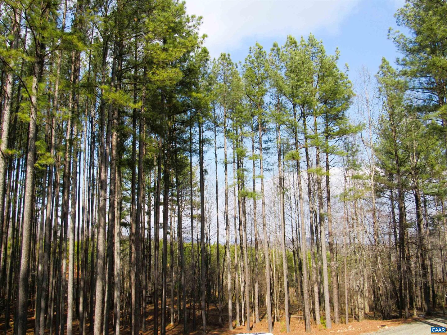 3324 LAUREL RD, SHIPMAN, Virginia 22971, 3 Bedrooms Bedrooms, ,2 BathroomsBathrooms,Residential,For sale,3324 LAUREL RD,673667 MLS # 673667 3324 LAUREL RD, SHIPMAN, Virginia 22971, 3 Bedrooms Bedrooms, ,2 BathroomsBathrooms,Residential,For sale,3324 LAUREL RD,673667 MLS # 673667