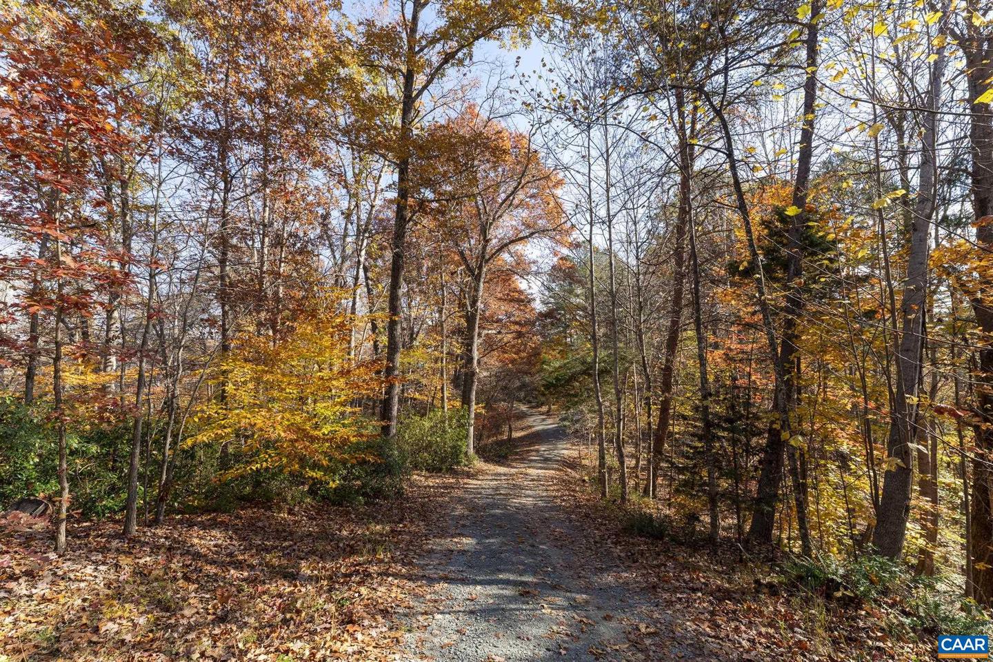 9225 HOWARDSVILLE TPKE, SCHUYLER, Virginia 22969, 3 Bedrooms Bedrooms, ,3 BathroomsBathrooms,Residential,For sale,9225 HOWARDSVILLE TPKE,673677 MLS # 673677