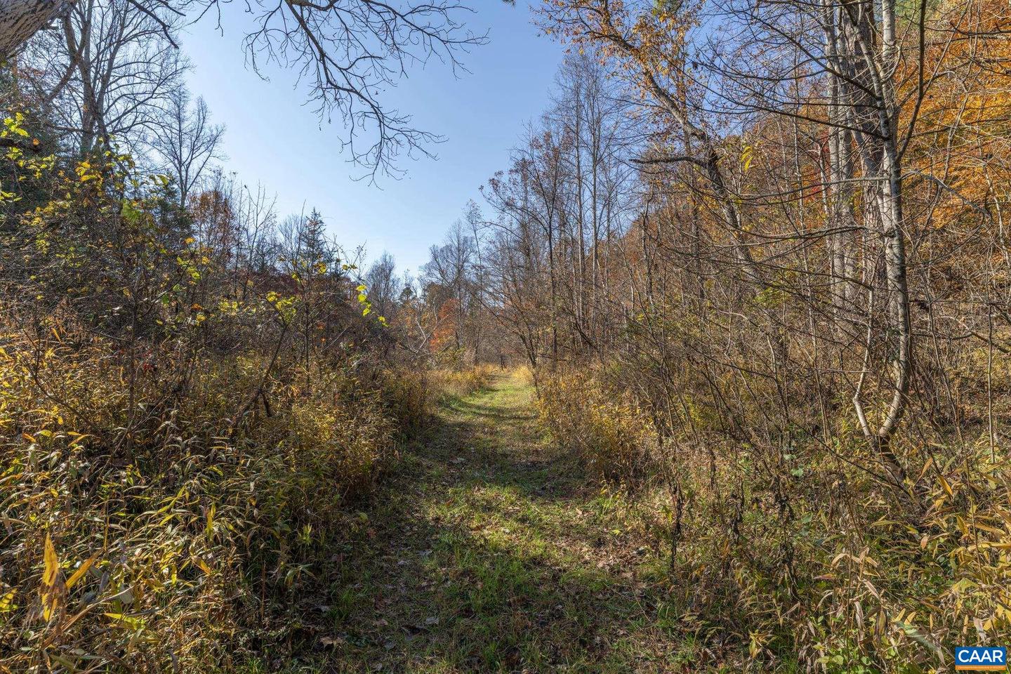 9225 HOWARDSVILLE TPKE, SCHUYLER, Virginia 22969, 3 Bedrooms Bedrooms, ,3 BathroomsBathrooms,Residential,For sale,9225 HOWARDSVILLE TPKE,673677 MLS # 673677