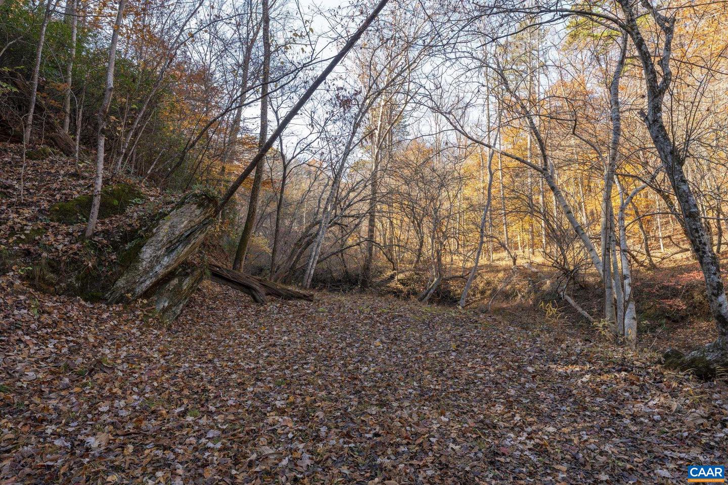 9225 HOWARDSVILLE TPKE, SCHUYLER, Virginia 22969, 3 Bedrooms Bedrooms, ,3 BathroomsBathrooms,Residential,For sale,9225 HOWARDSVILLE TPKE,673677 MLS # 673677