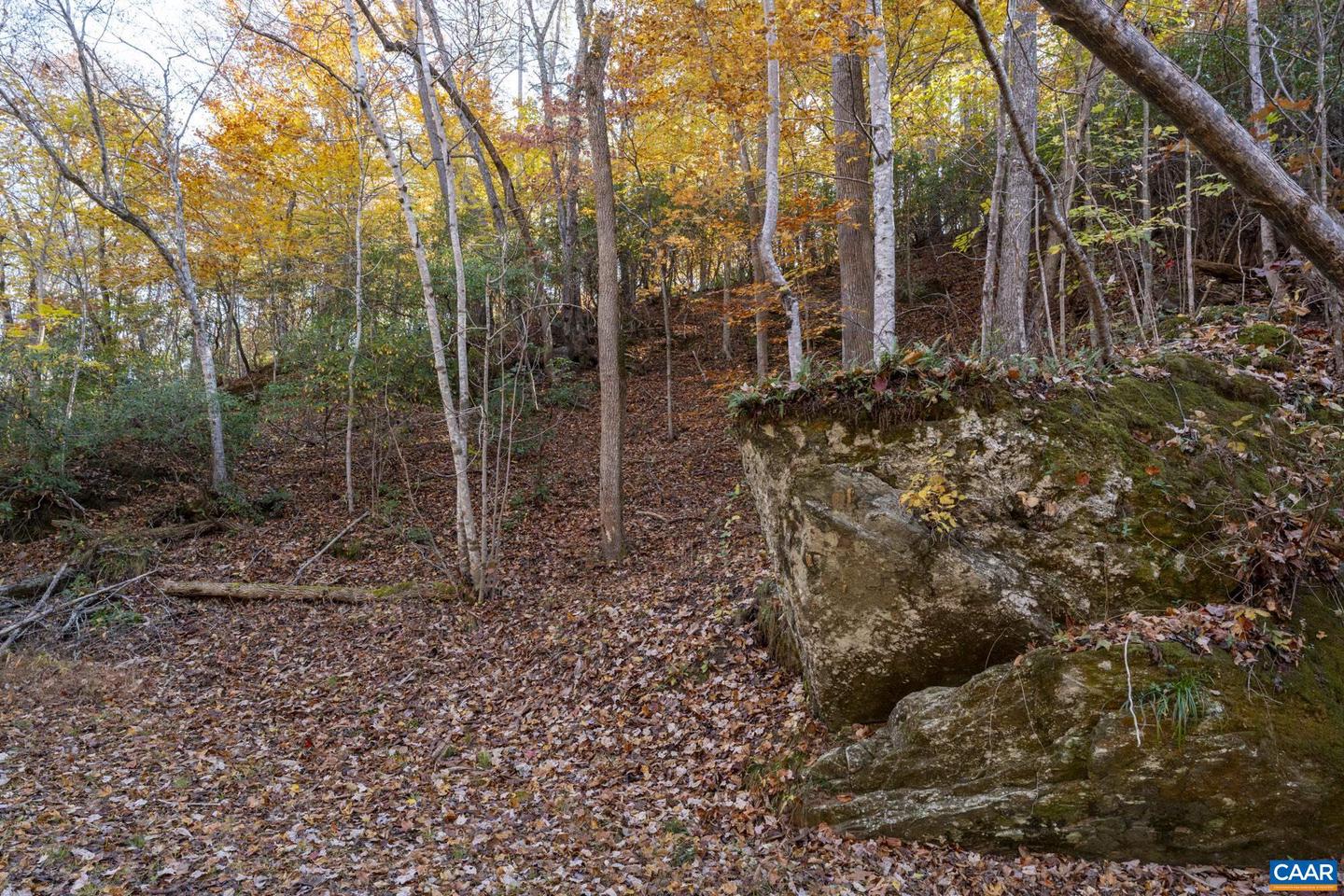 9225 HOWARDSVILLE TPKE, SCHUYLER, Virginia 22969, 3 Bedrooms Bedrooms, ,3 BathroomsBathrooms,Residential,For sale,9225 HOWARDSVILLE TPKE,673677 MLS # 673677