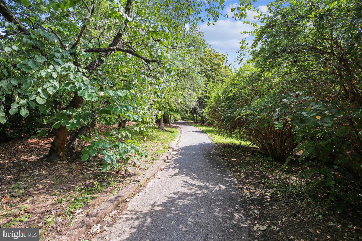 2440 16TH ST NW #521, WASHINGTON, District Of Columbia 20009, 1 Bedroom Bedrooms, ,1 BathroomBathrooms,Residential,For sale,2440 16TH ST NW #521,DCDC2244608 MLS # DCDC2244608