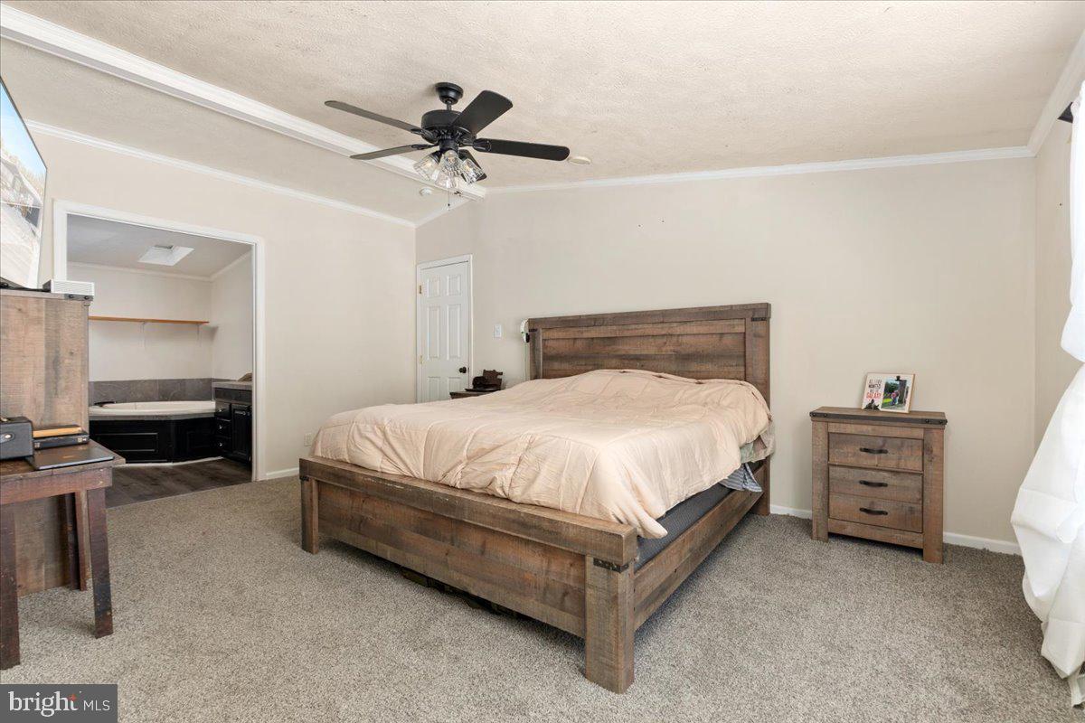 1501 S TIMBER RIDGE RD, CROSS JUNCTION, Virginia 22625, 3 Bedrooms Bedrooms, ,2 BathroomsBathrooms,Residential,For sale,1501 S TIMBER RIDGE RD,VAFV2039566 MLS # VAFV2039566