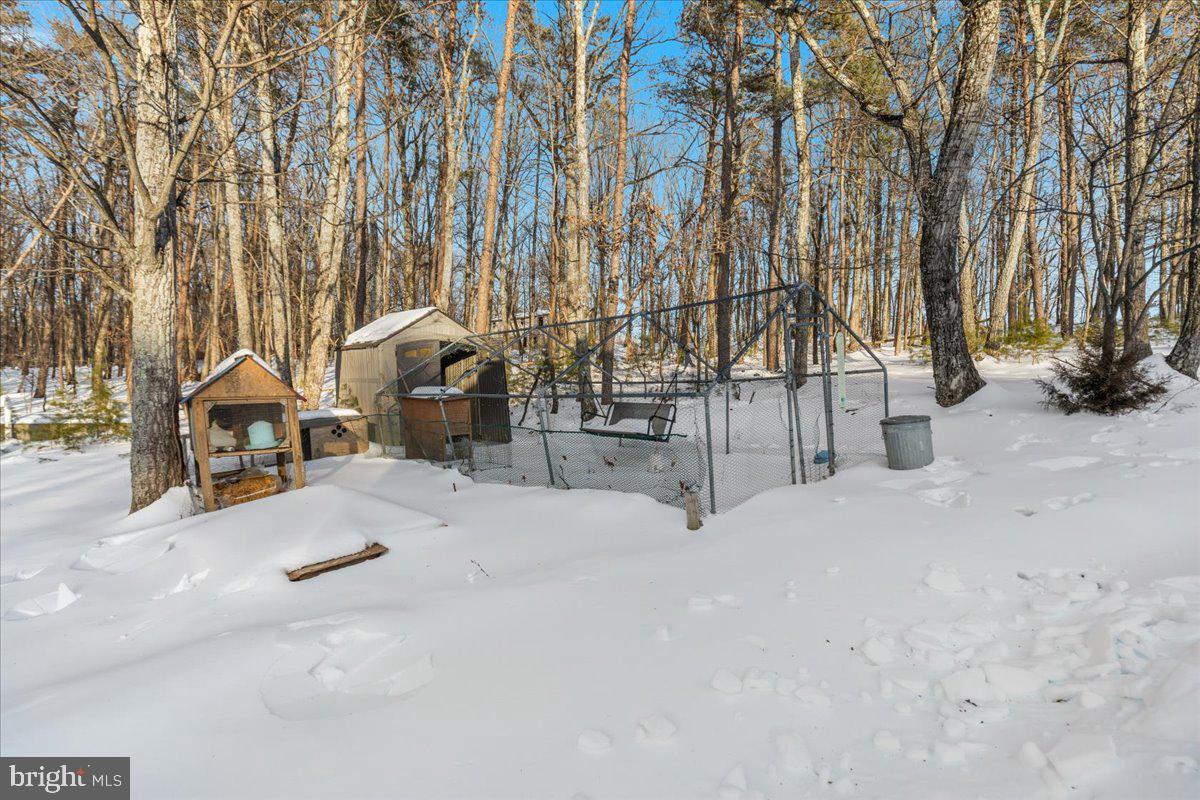 1501 S TIMBER RIDGE RD, CROSS JUNCTION, Virginia 22625, 3 Bedrooms Bedrooms, ,2 BathroomsBathrooms,Residential,For sale,1501 S TIMBER RIDGE RD,VAFV2039566 MLS # VAFV2039566