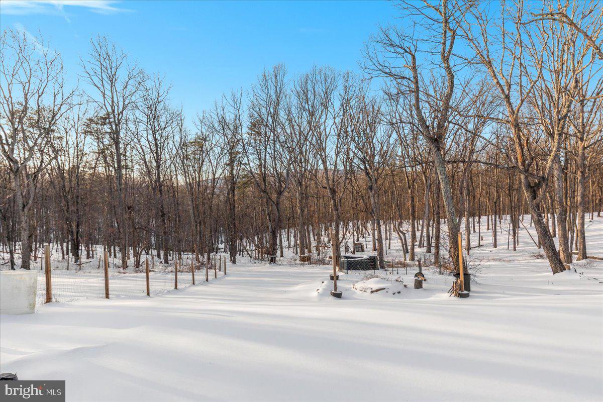 1501 S TIMBER RIDGE RD, CROSS JUNCTION, Virginia 22625, 3 Bedrooms Bedrooms, ,2 BathroomsBathrooms,Residential,For sale,1501 S TIMBER RIDGE RD,VAFV2039566 MLS # VAFV2039566