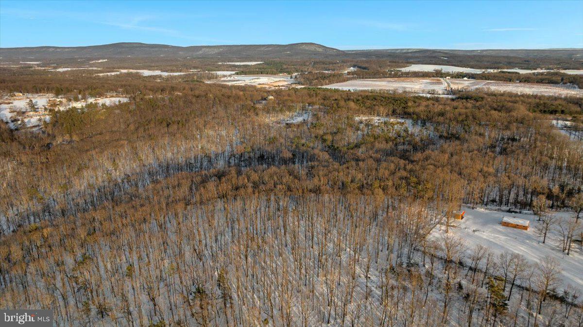 1501 S TIMBER RIDGE RD, CROSS JUNCTION, Virginia 22625, 3 Bedrooms Bedrooms, ,2 BathroomsBathrooms,Residential,For sale,1501 S TIMBER RIDGE RD,VAFV2039566 MLS # VAFV2039566