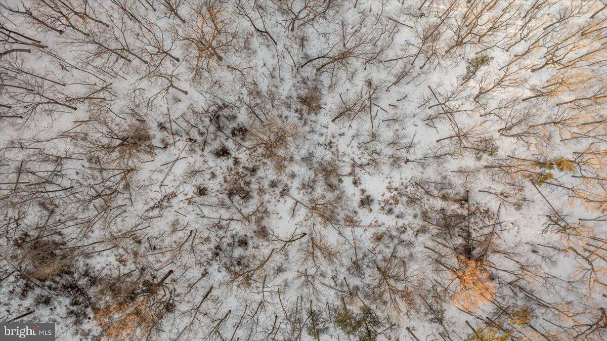 1501 S TIMBER RIDGE RD, CROSS JUNCTION, Virginia 22625, 3 Bedrooms Bedrooms, ,2 BathroomsBathrooms,Residential,For sale,1501 S TIMBER RIDGE RD,VAFV2039566 MLS # VAFV2039566