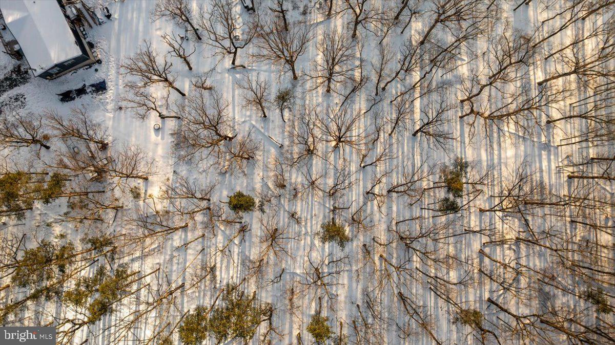 1501 S TIMBER RIDGE RD, CROSS JUNCTION, Virginia 22625, 3 Bedrooms Bedrooms, ,2 BathroomsBathrooms,Residential,For sale,1501 S TIMBER RIDGE RD,VAFV2039566 MLS # VAFV2039566