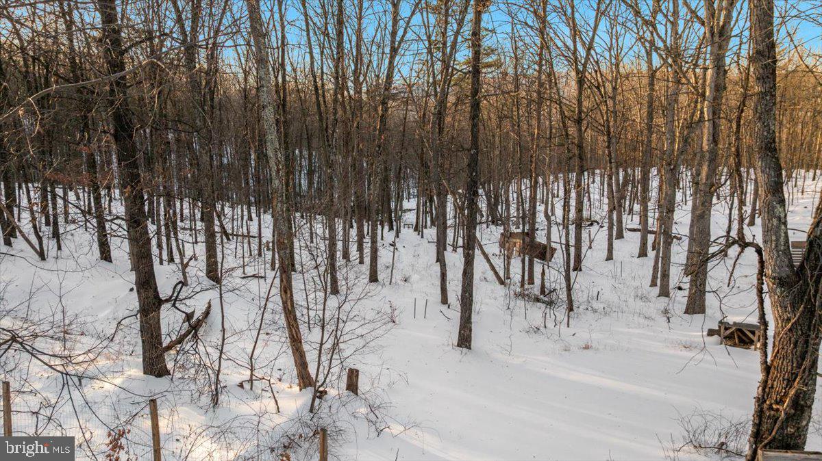 1501 S TIMBER RIDGE RD, CROSS JUNCTION, Virginia 22625, 3 Bedrooms Bedrooms, ,2 BathroomsBathrooms,Residential,For sale,1501 S TIMBER RIDGE RD,VAFV2039566 MLS # VAFV2039566