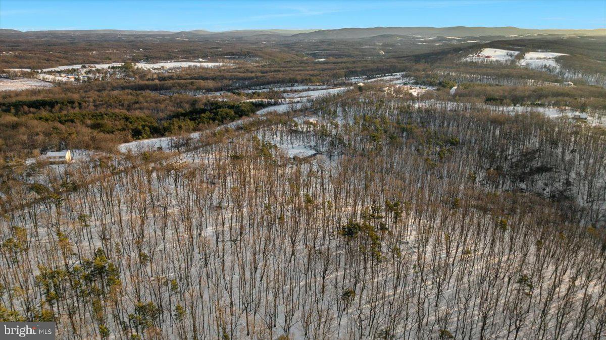 1501 S TIMBER RIDGE RD, CROSS JUNCTION, Virginia 22625, 3 Bedrooms Bedrooms, ,2 BathroomsBathrooms,Residential,For sale,1501 S TIMBER RIDGE RD,VAFV2039566 MLS # VAFV2039566