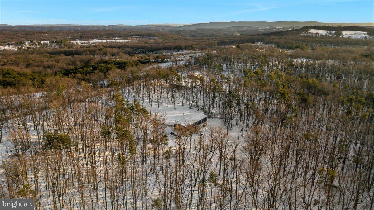 1501 S TIMBER RIDGE RD, CROSS JUNCTION, Virginia 22625, 3 Bedrooms Bedrooms, ,2 BathroomsBathrooms,Residential,For sale,1501 S TIMBER RIDGE RD,VAFV2039566 MLS # VAFV2039566