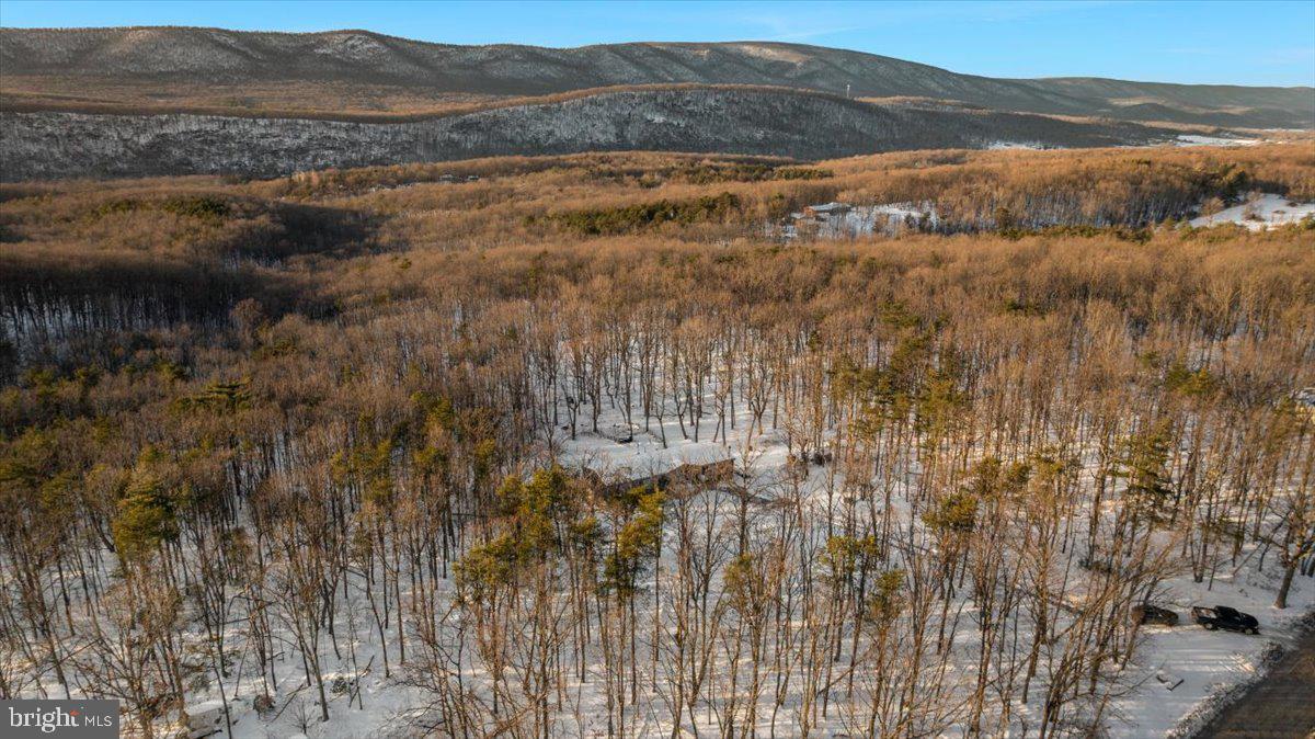 1501 S TIMBER RIDGE RD, CROSS JUNCTION, Virginia 22625, 3 Bedrooms Bedrooms, ,2 BathroomsBathrooms,Residential,For sale,1501 S TIMBER RIDGE RD,VAFV2039566 MLS # VAFV2039566