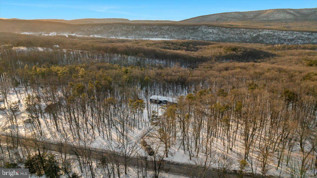 1501 S TIMBER RIDGE RD, CROSS JUNCTION, Virginia 22625, 3 Bedrooms Bedrooms, ,2 BathroomsBathrooms,Residential,For sale,1501 S TIMBER RIDGE RD,VAFV2039566 MLS # VAFV2039566