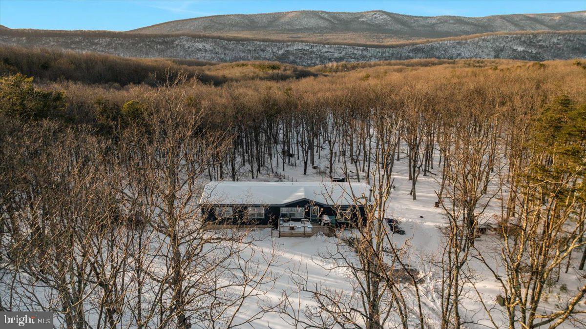 1501 S TIMBER RIDGE RD, CROSS JUNCTION, Virginia 22625, 3 Bedrooms Bedrooms, ,2 BathroomsBathrooms,Residential,For sale,1501 S TIMBER RIDGE RD,VAFV2039566 MLS # VAFV2039566