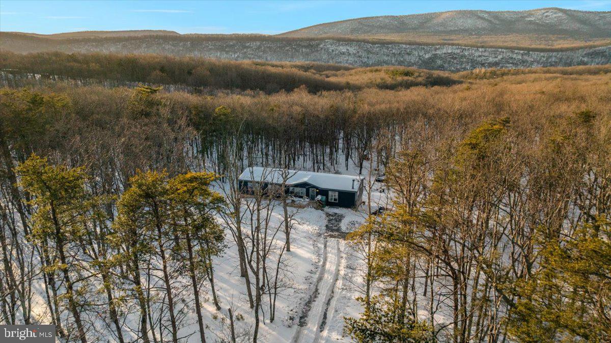 1501 S TIMBER RIDGE RD, CROSS JUNCTION, Virginia 22625, 3 Bedrooms Bedrooms, ,2 BathroomsBathrooms,Residential,For sale,1501 S TIMBER RIDGE RD,VAFV2039566 MLS # VAFV2039566