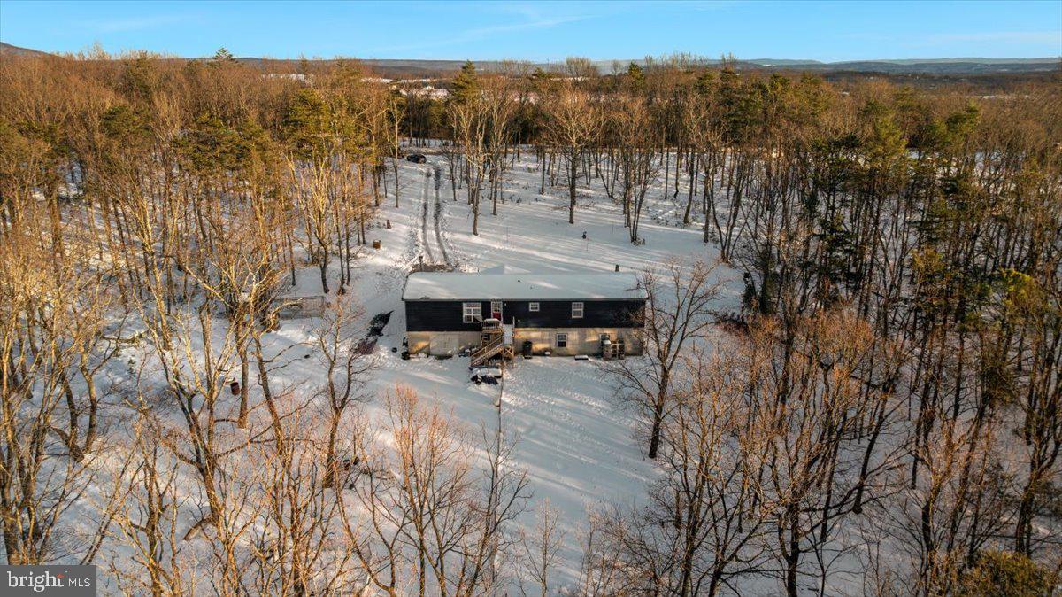 1501 S TIMBER RIDGE RD, CROSS JUNCTION, Virginia 22625, 3 Bedrooms Bedrooms, ,2 BathroomsBathrooms,Residential,For sale,1501 S TIMBER RIDGE RD,VAFV2039566 MLS # VAFV2039566