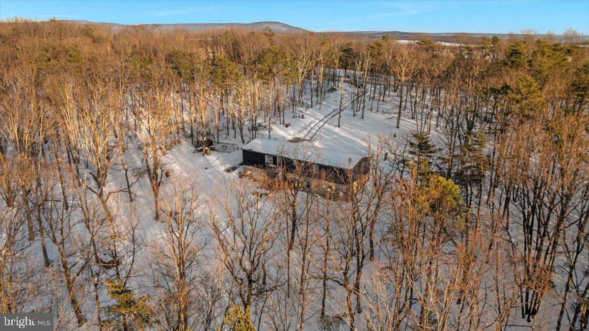 1501 S TIMBER RIDGE RD, CROSS JUNCTION, Virginia 22625, 3 Bedrooms Bedrooms, ,2 BathroomsBathrooms,Residential,For sale,1501 S TIMBER RIDGE RD,VAFV2039566 MLS # VAFV2039566