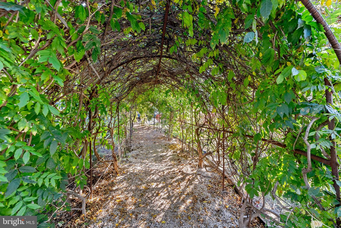 8340 GREENSBORO DR #118, MCLEAN, Virginia 22102, 1 Bedroom Bedrooms, ,1 BathroomBathrooms,Residential,For sale,8340 GREENSBORO DR #118,VAFX2291602 MLS # VAFX2291602