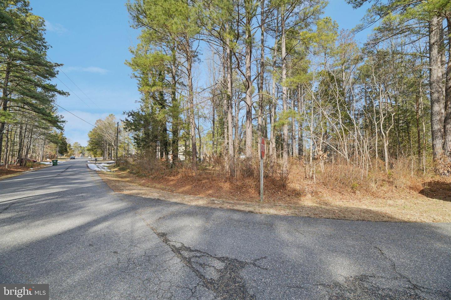 736 ANNAPOLIS DR, RUTHER GLEN, Virginia 22546, 4 Bedrooms Bedrooms, ,3 BathroomsBathrooms,Residential,For sale,736 ANNAPOLIS DR,VACV2009570 MLS # VACV2009570