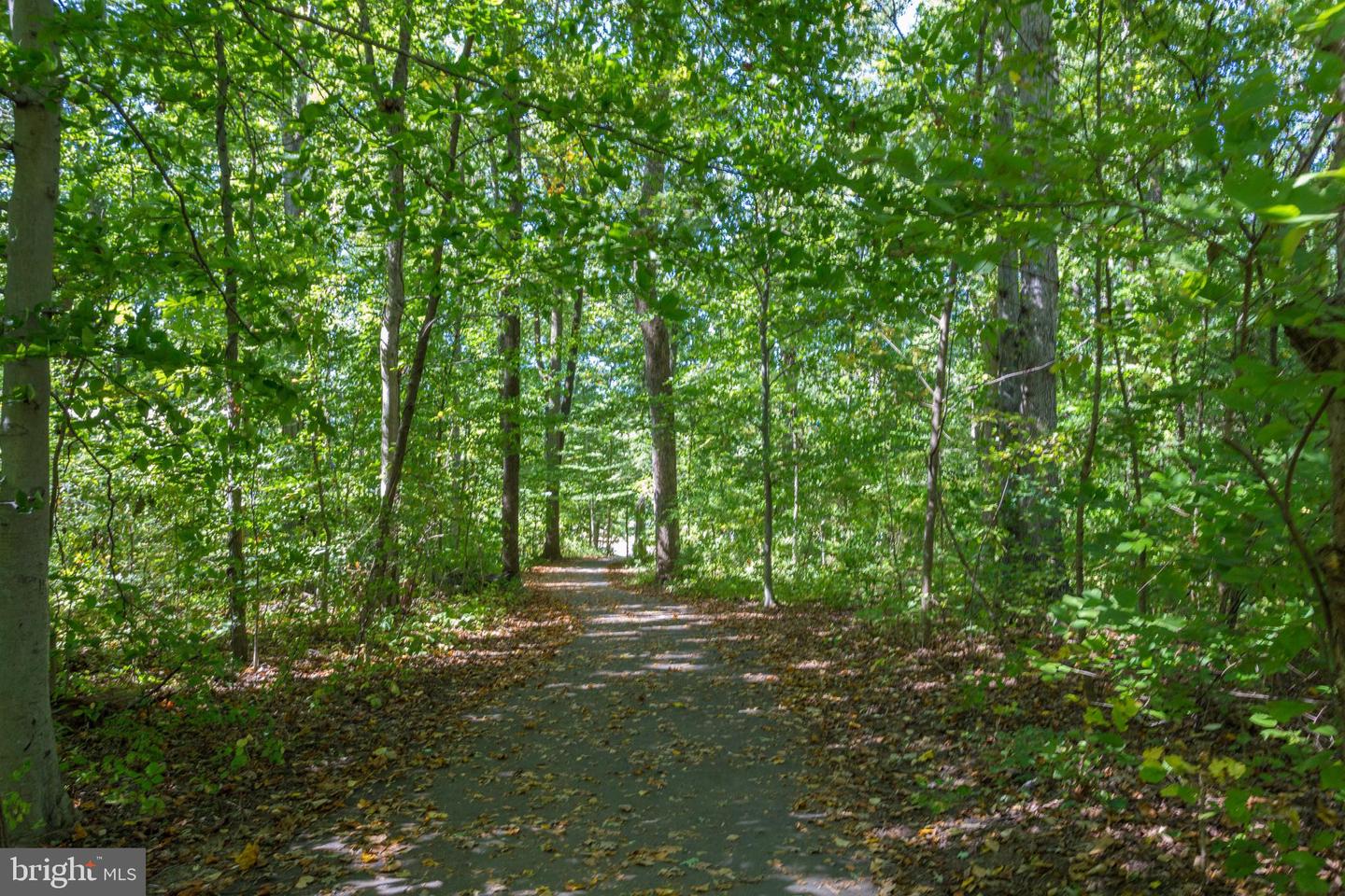 7402 INZER ST, SPRINGFIELD, Virginia 22151, 3 Bedrooms Bedrooms, ,1 BathroomBathrooms,Residential,For sale,7402 INZER ST,VAFX2292486 MLS # VAFX2292486