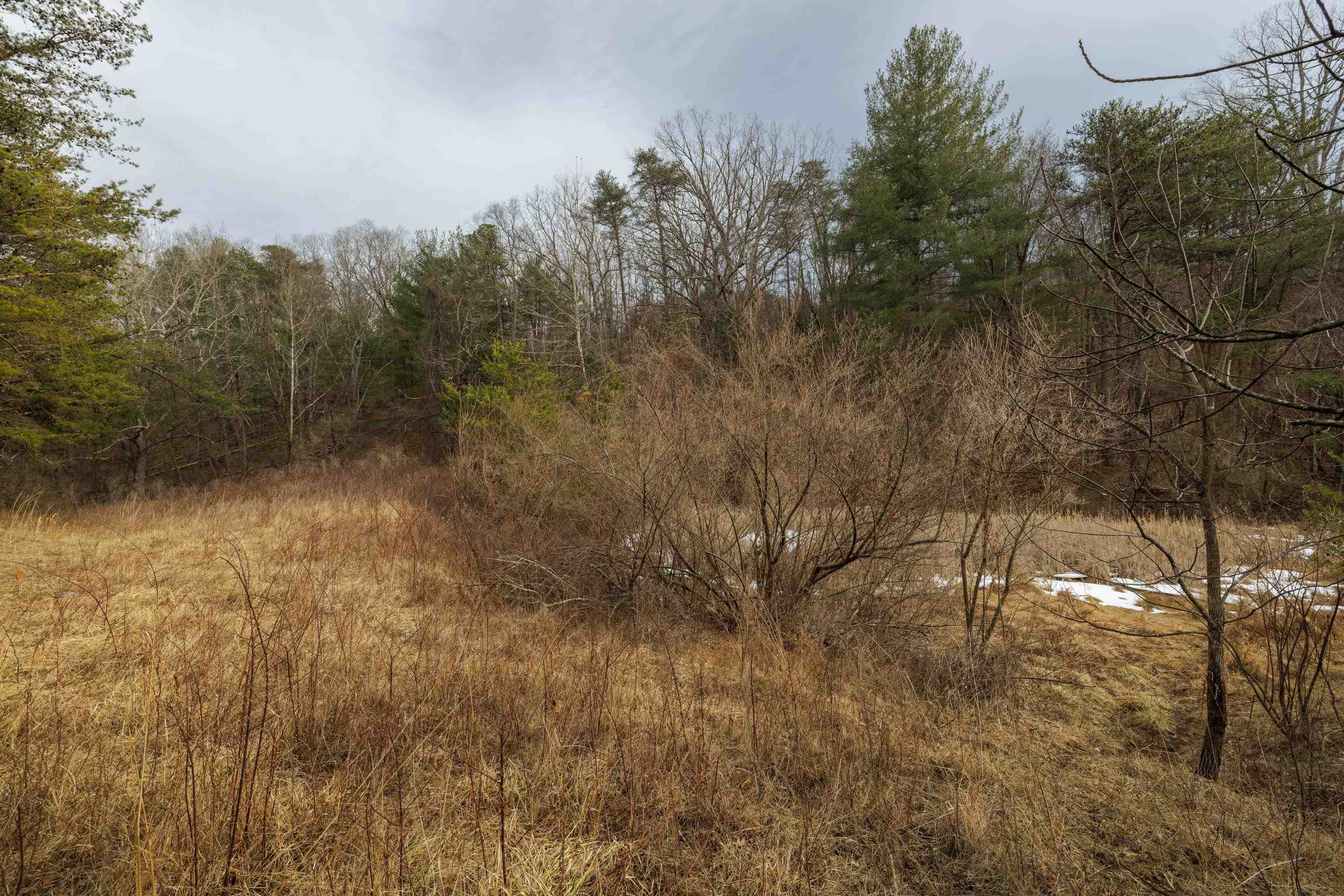 577 HAMMOND LN, STAUNTON, Virginia 24401, ,Land,577 HAMMOND LN,673745 MLS # 673745