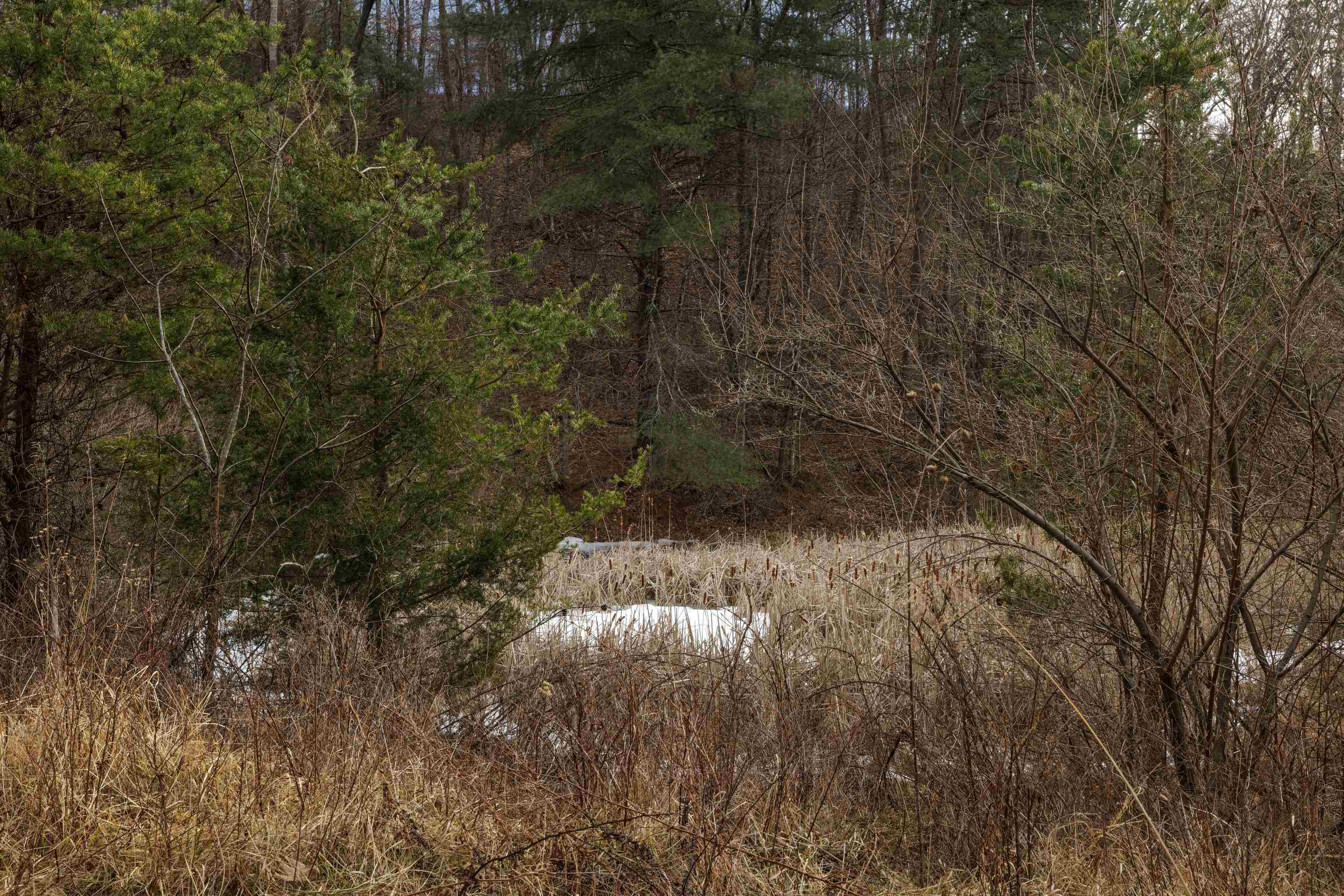 577 HAMMOND LN, STAUNTON, Virginia 24401, ,Land,577 HAMMOND LN,673745 MLS # 673745