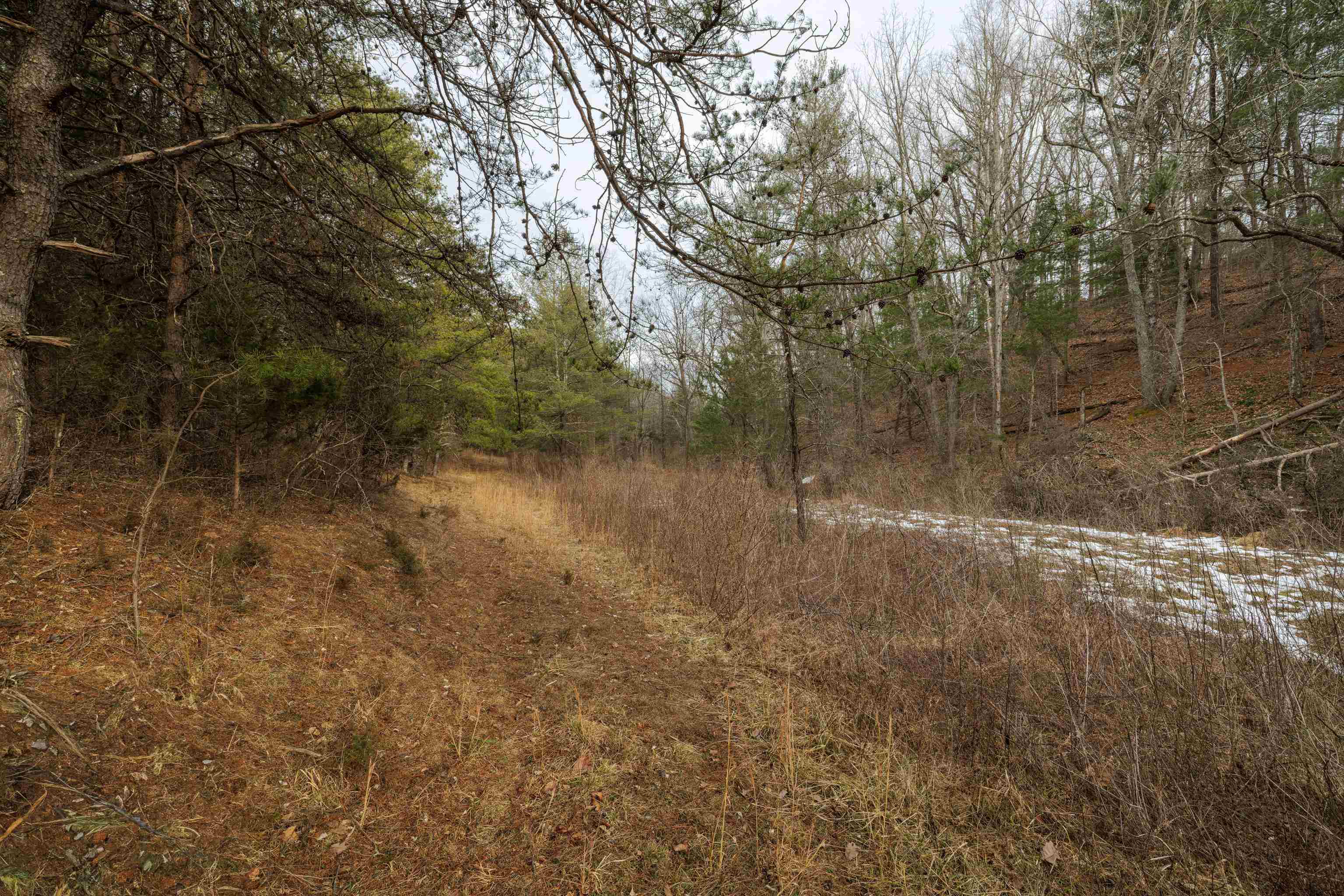 577 HAMMOND LN, STAUNTON, Virginia 24401, ,Land,577 HAMMOND LN,673745 MLS # 673745