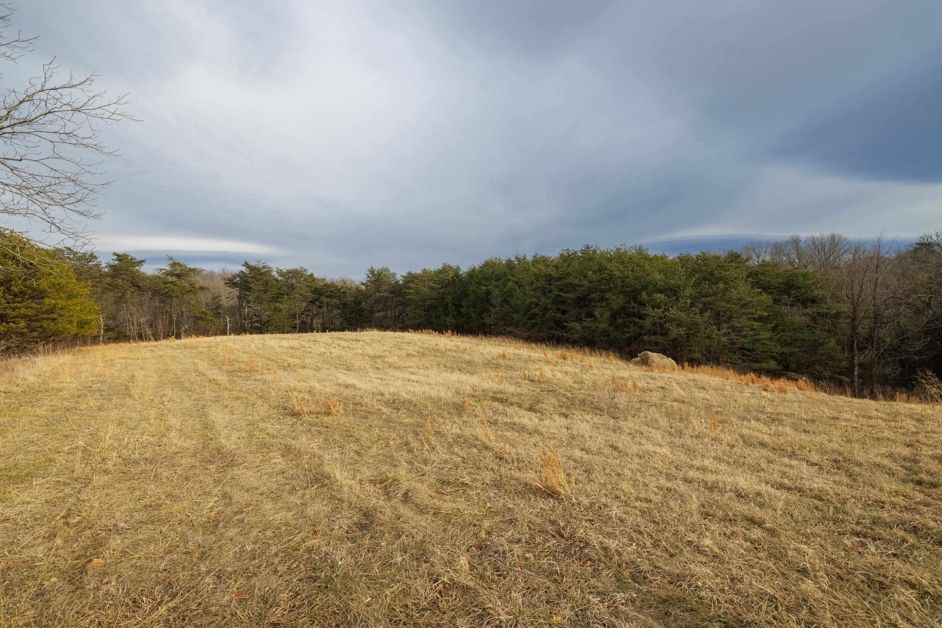 577 HAMMOND LN, STAUNTON, Virginia 24401, ,Land,577 HAMMOND LN,673745 MLS # 673745