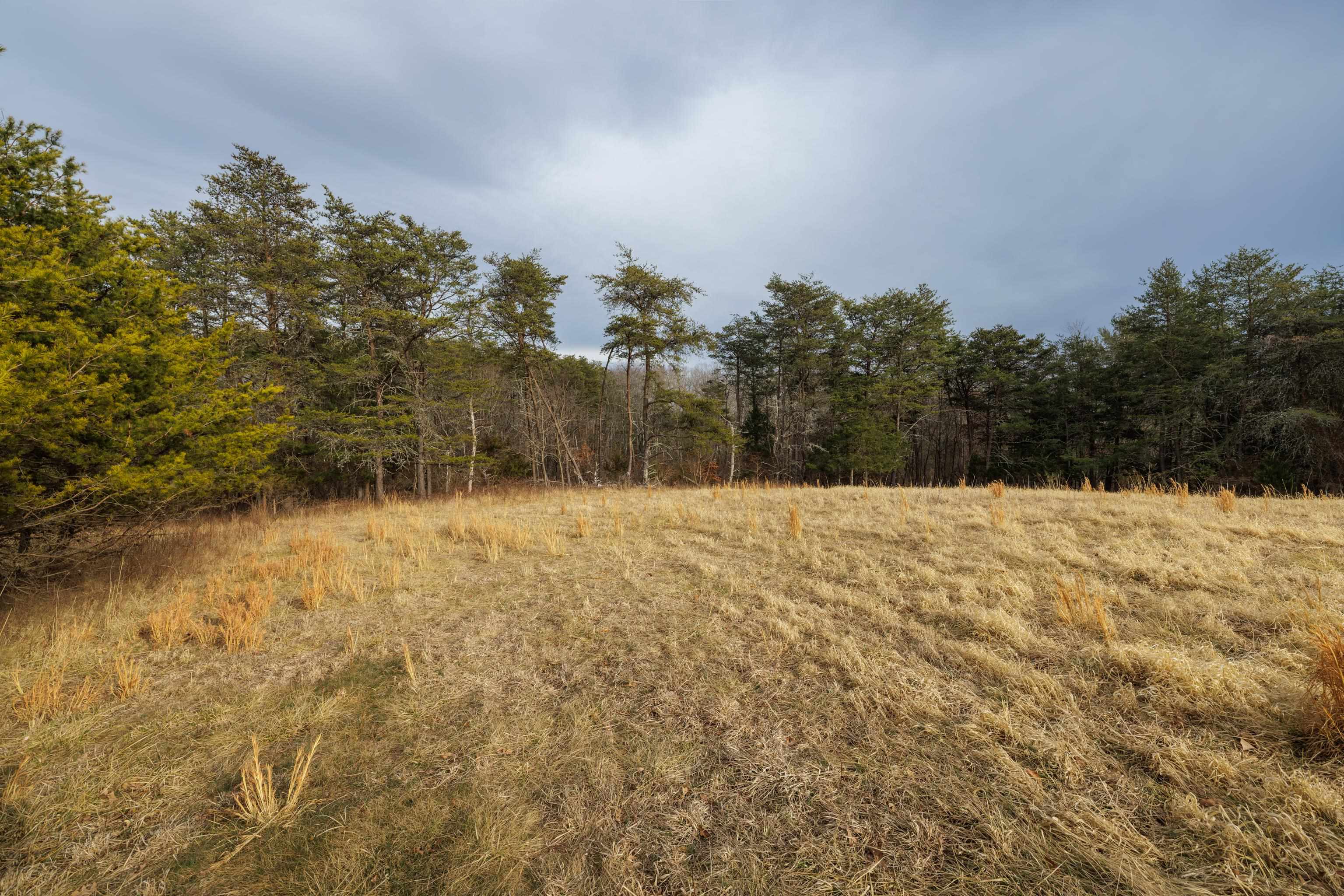 577 HAMMOND LN, STAUNTON, Virginia 24401, ,Land,577 HAMMOND LN,673745 MLS # 673745