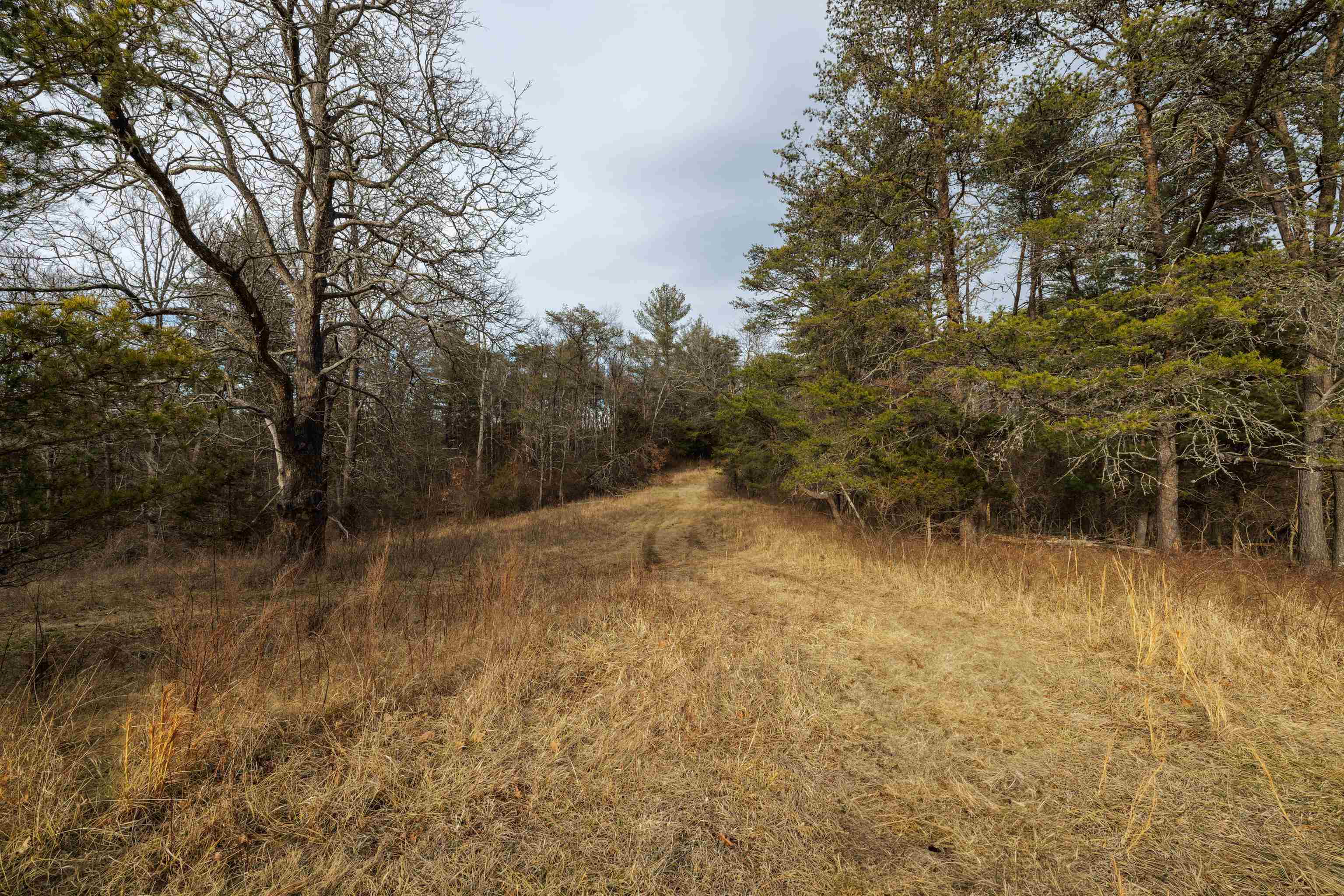 577 HAMMOND LN, STAUNTON, Virginia 24401, ,Land,577 HAMMOND LN,673745 MLS # 673745