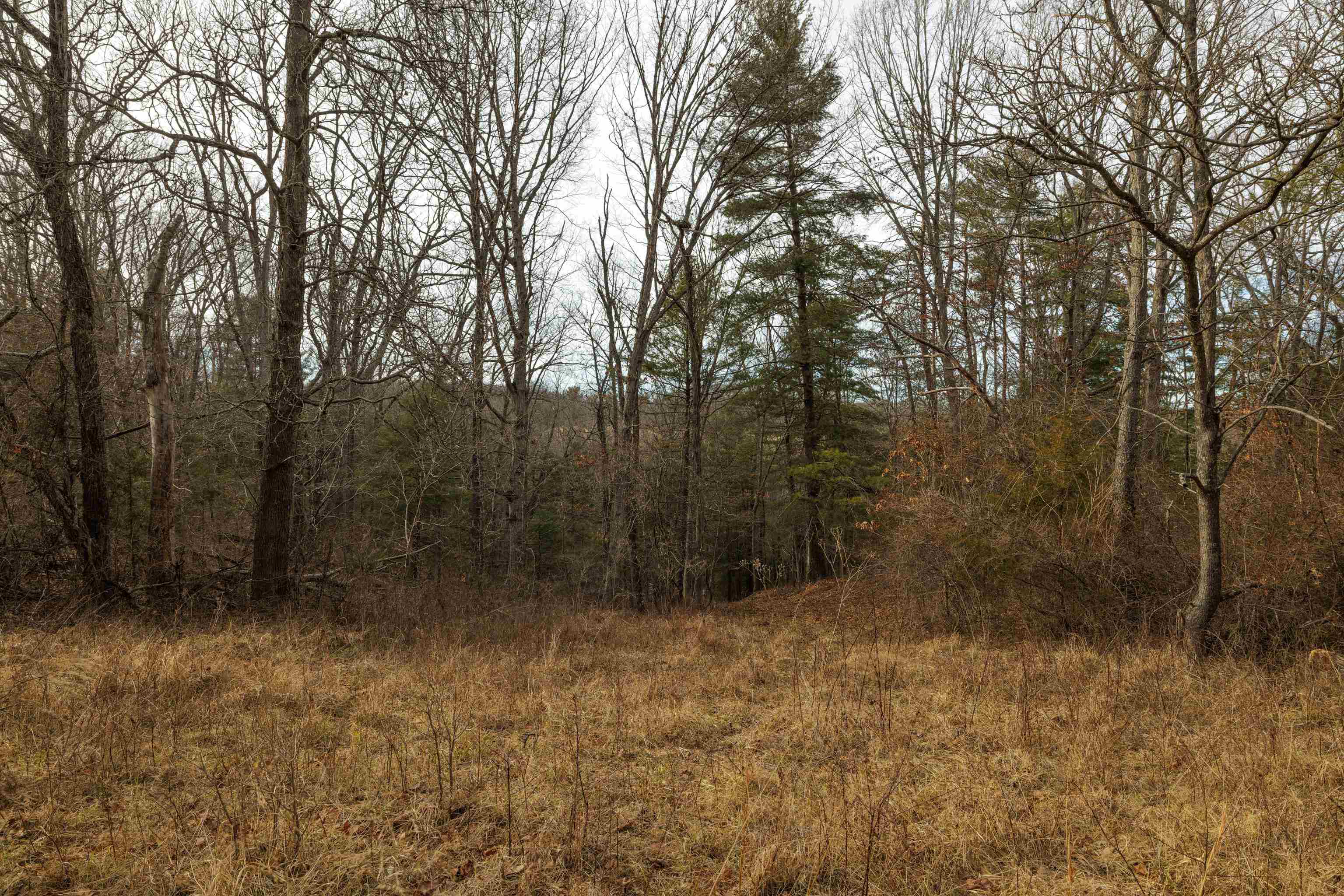 577 HAMMOND LN, STAUNTON, Virginia 24401, ,Land,577 HAMMOND LN,673745 MLS # 673745