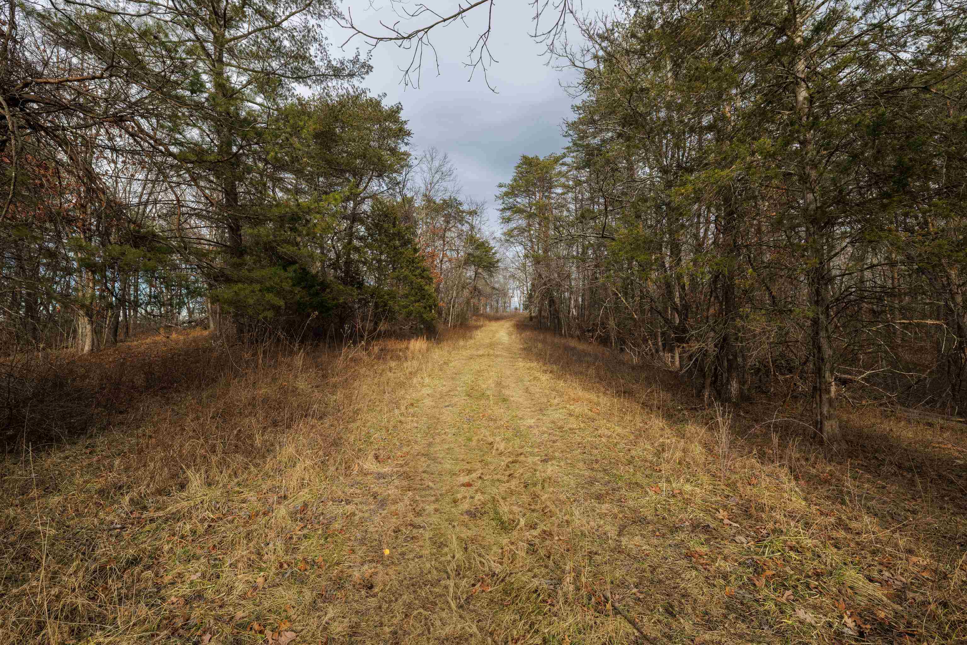 577 HAMMOND LN, STAUNTON, Virginia 24401, ,Land,577 HAMMOND LN,673745 MLS # 673745