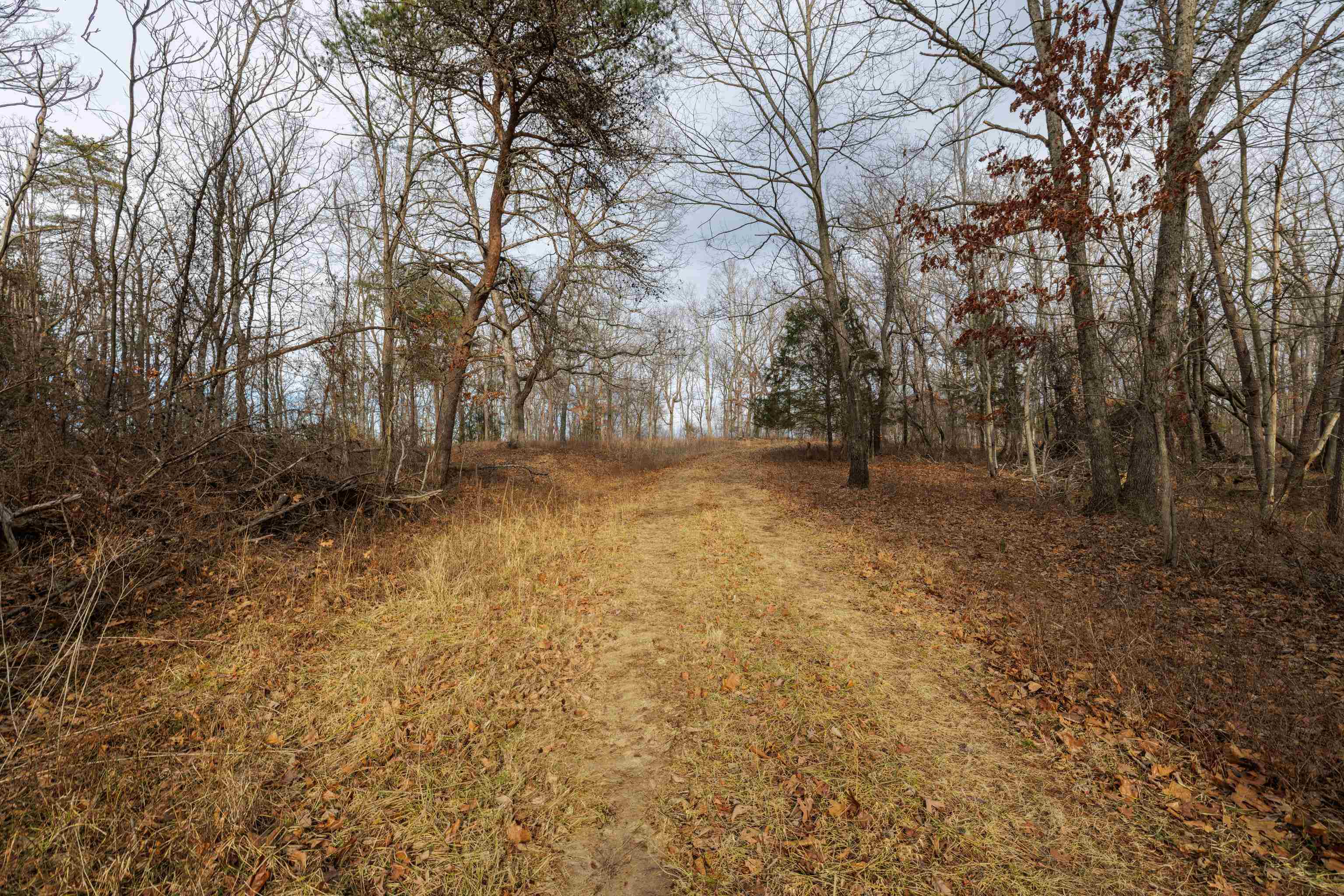 577 HAMMOND LN, STAUNTON, Virginia 24401, ,Land,577 HAMMOND LN,673745 MLS # 673745