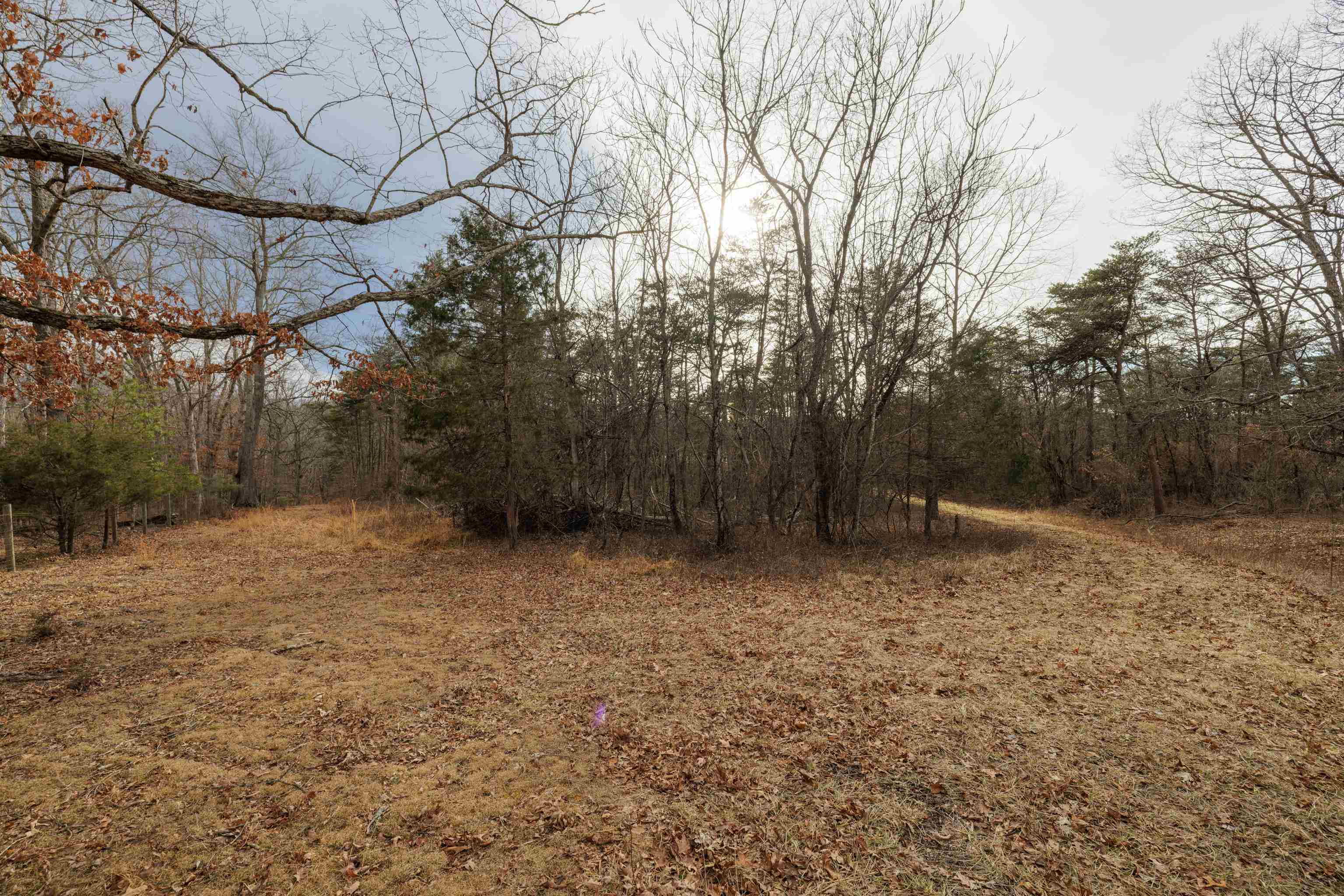 577 HAMMOND LN, STAUNTON, Virginia 24401, ,Land,577 HAMMOND LN,673745 MLS # 673745