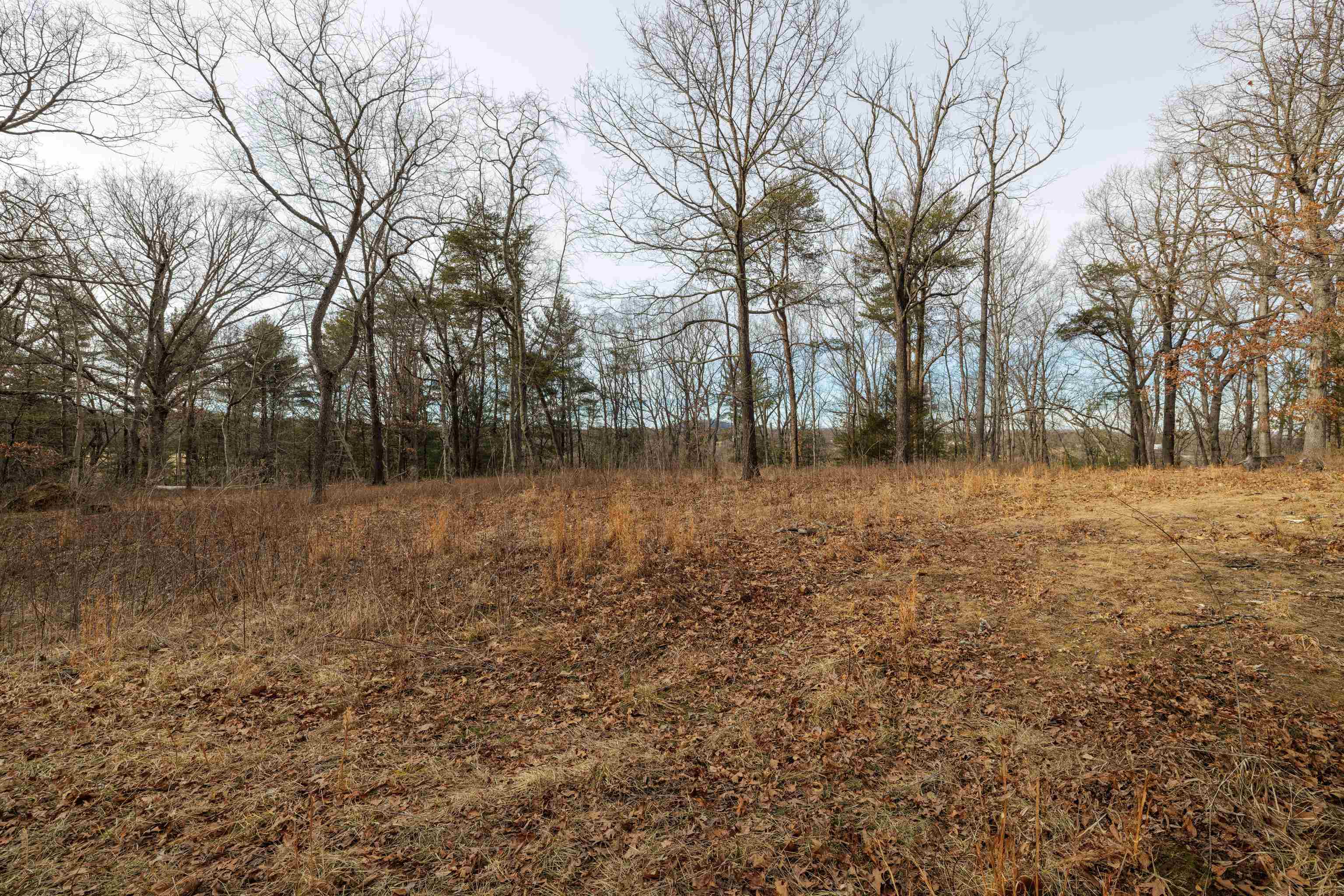 577 HAMMOND LN, STAUNTON, Virginia 24401, ,Land,577 HAMMOND LN,673745 MLS # 673745