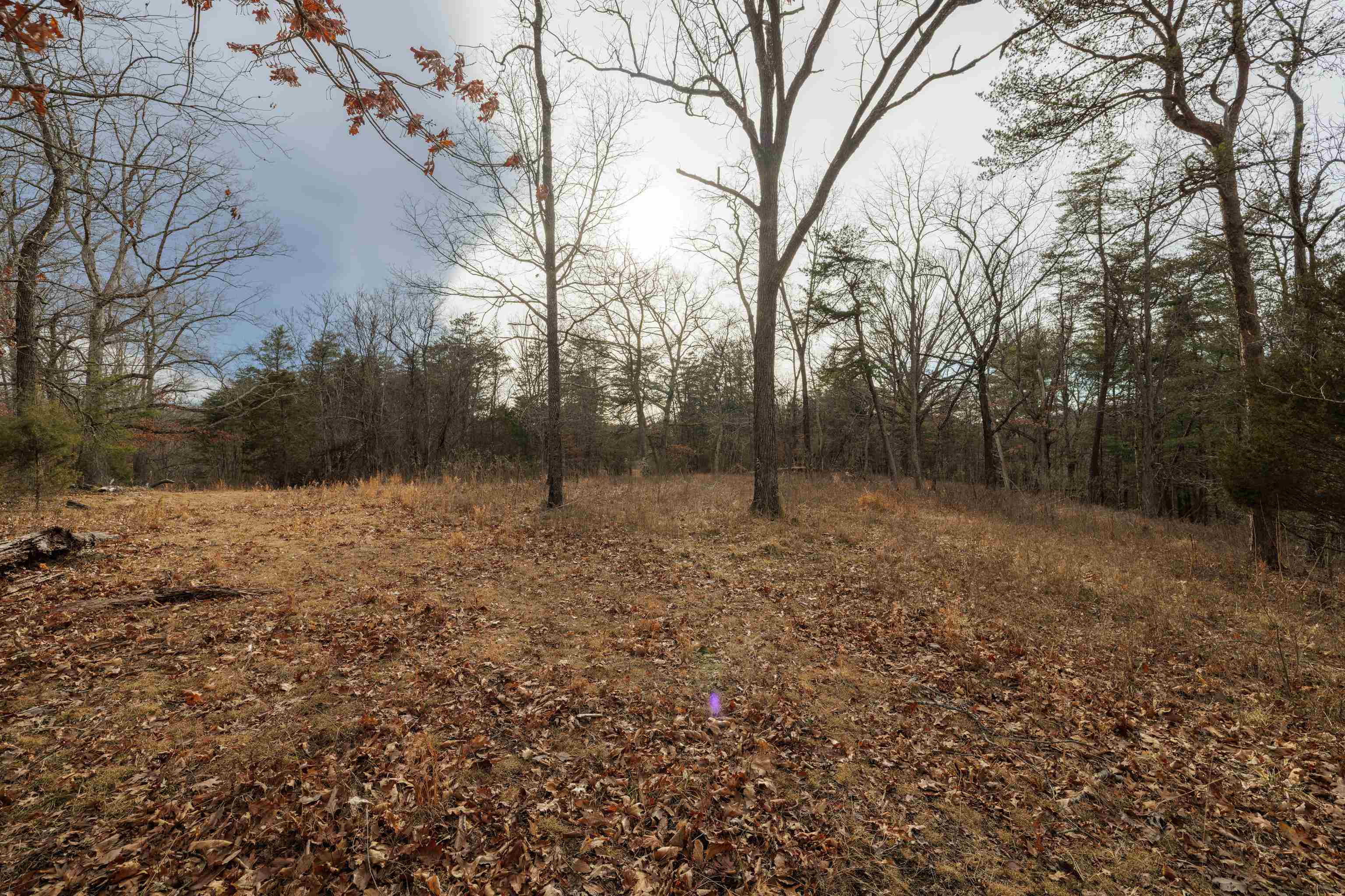 577 HAMMOND LN, STAUNTON, Virginia 24401, ,Land,577 HAMMOND LN,673745 MLS # 673745