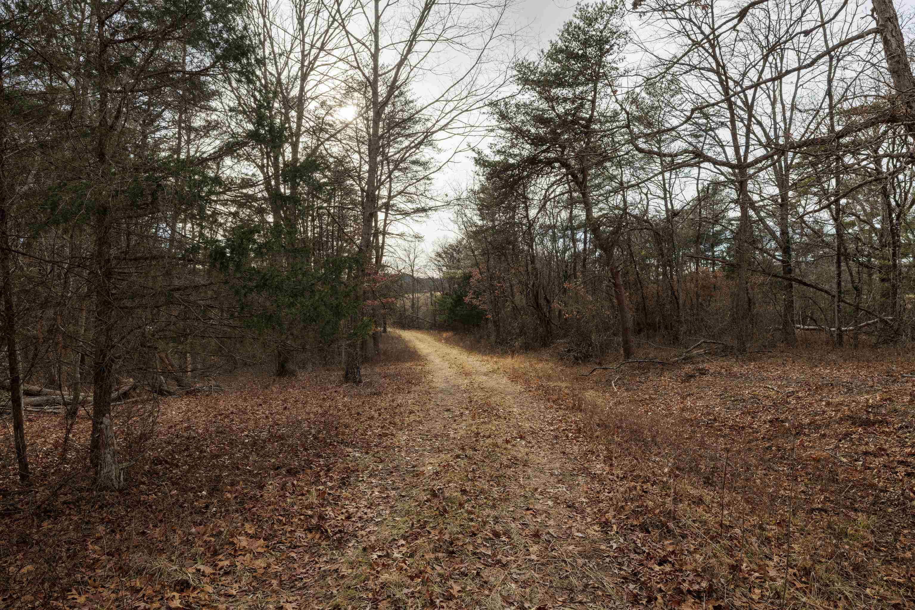 577 HAMMOND LN, STAUNTON, Virginia 24401, ,Land,577 HAMMOND LN,673745 MLS # 673745