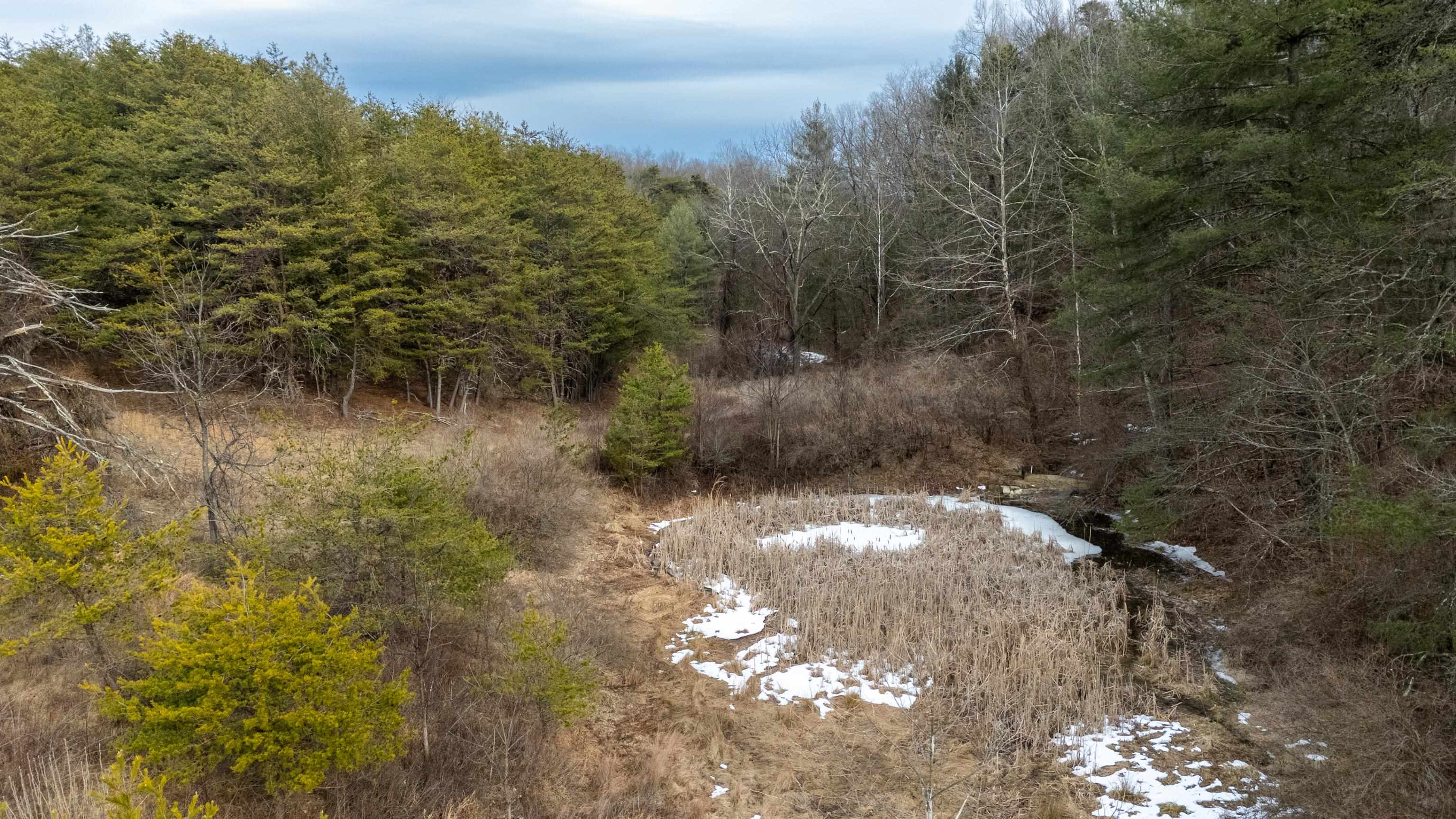 577 HAMMOND LN, STAUNTON, Virginia 24401, ,Land,577 HAMMOND LN,673745 MLS # 673745