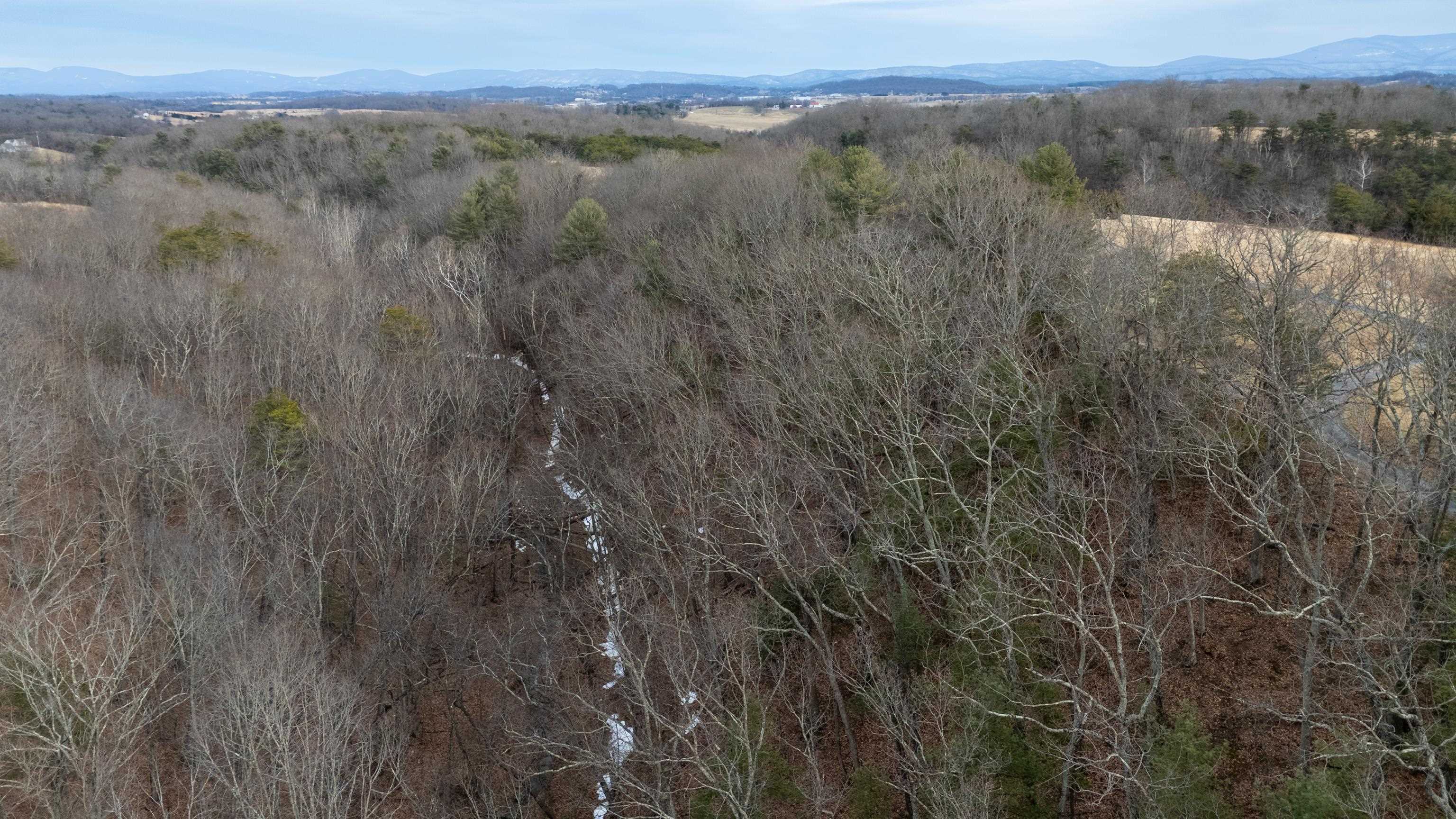 577 HAMMOND LN, STAUNTON, Virginia 24401, ,Land,577 HAMMOND LN,673745 MLS # 673745