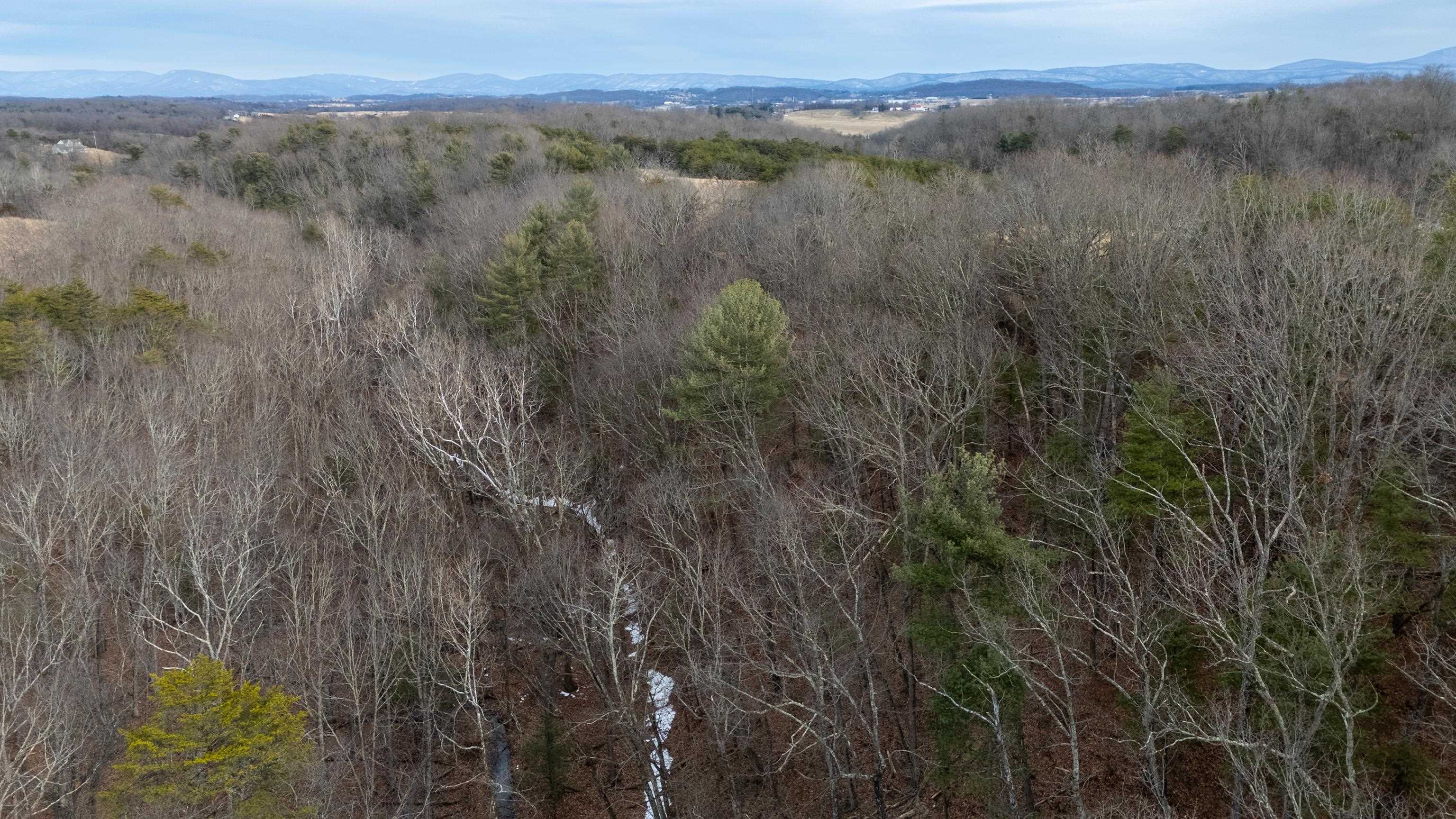 577 HAMMOND LN, STAUNTON, Virginia 24401, ,Land,577 HAMMOND LN,673745 MLS # 673745