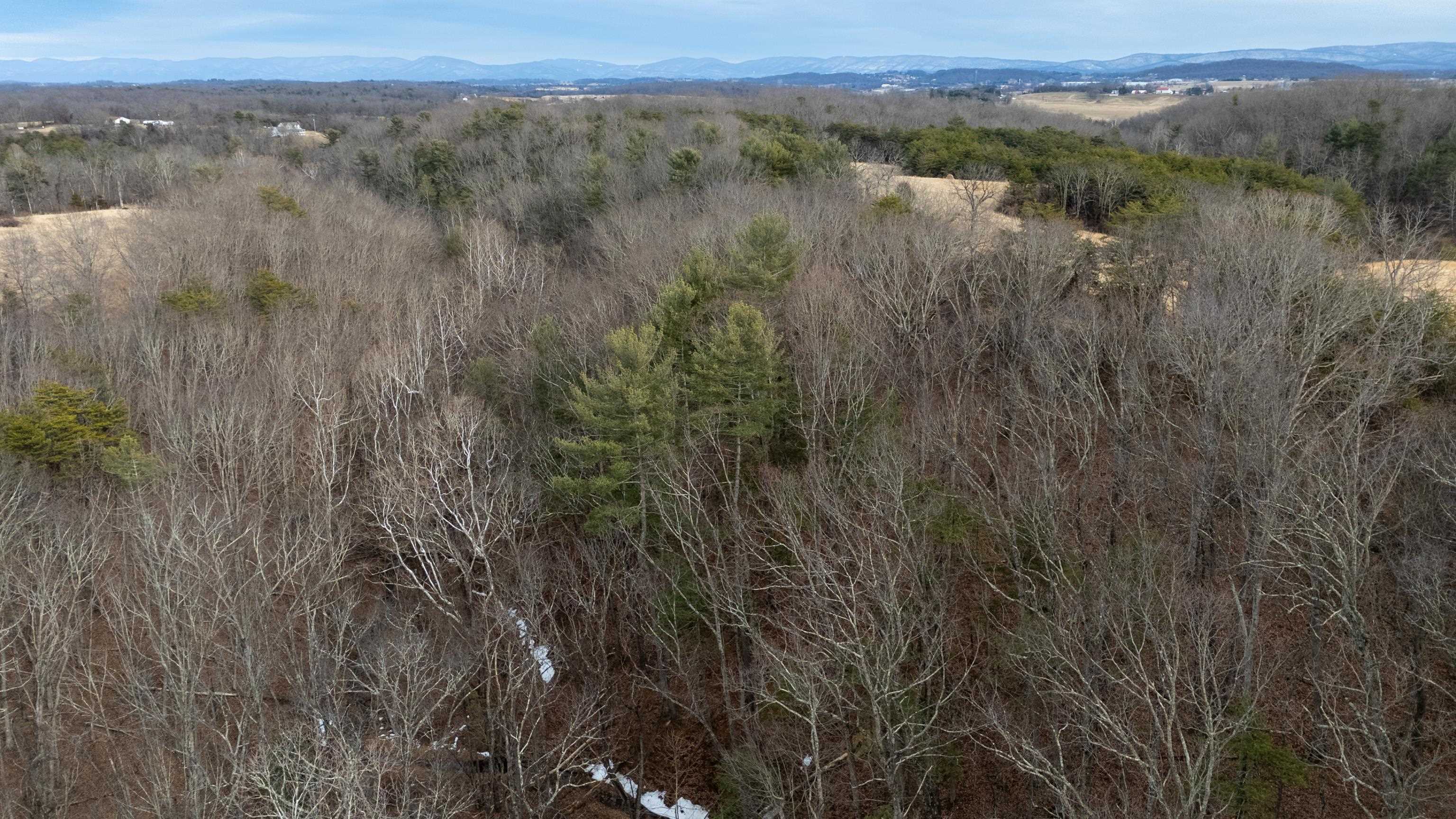 577 HAMMOND LN, STAUNTON, Virginia 24401, ,Land,577 HAMMOND LN,673745 MLS # 673745