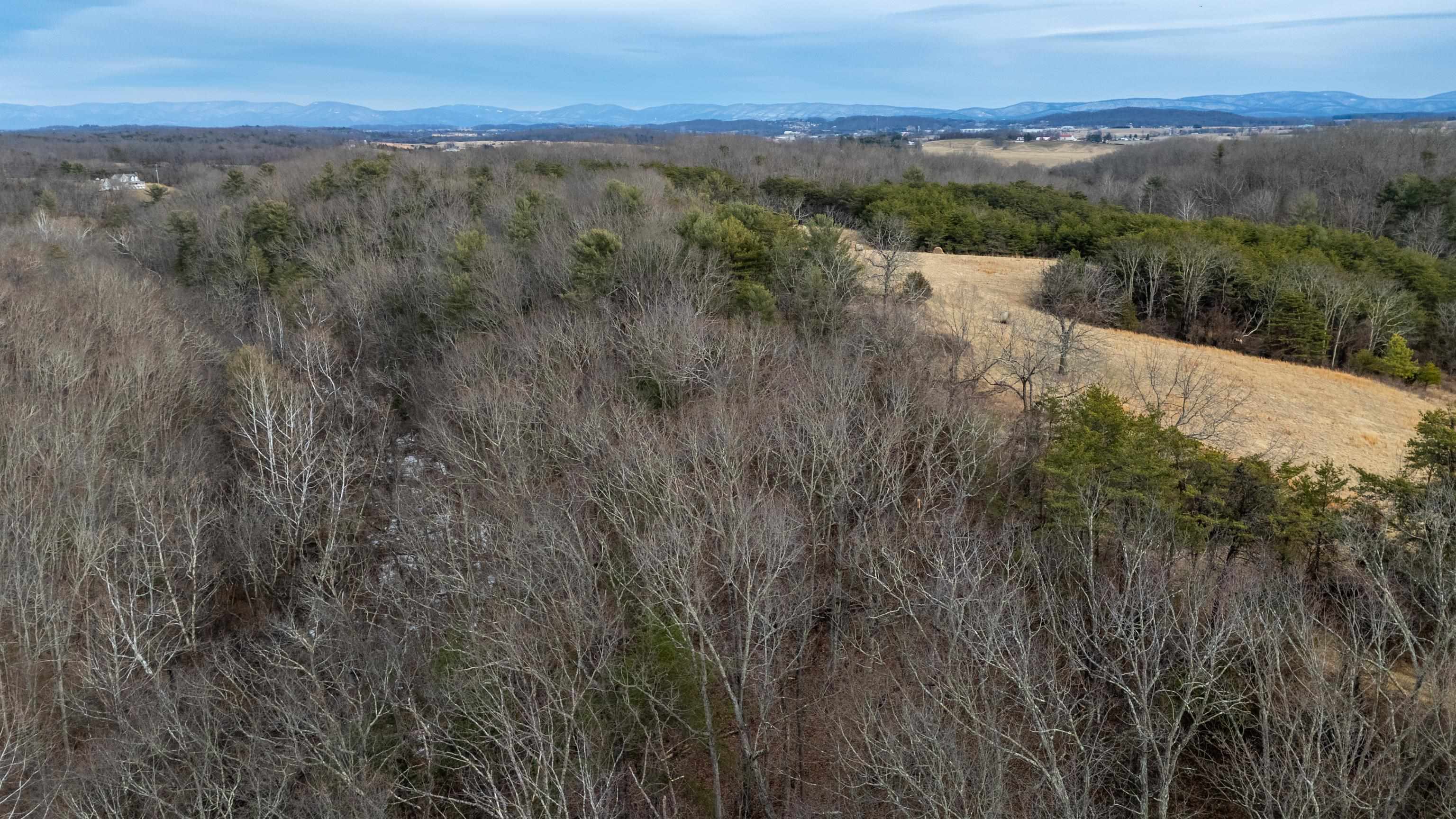 577 HAMMOND LN, STAUNTON, Virginia 24401, ,Land,577 HAMMOND LN,673745 MLS # 673745