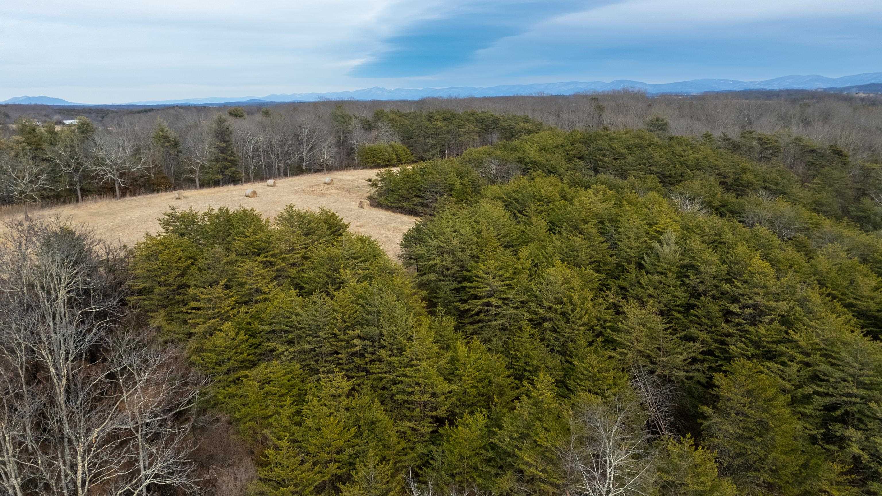 577 HAMMOND LN, STAUNTON, Virginia 24401, ,Land,577 HAMMOND LN,673745 MLS # 673745