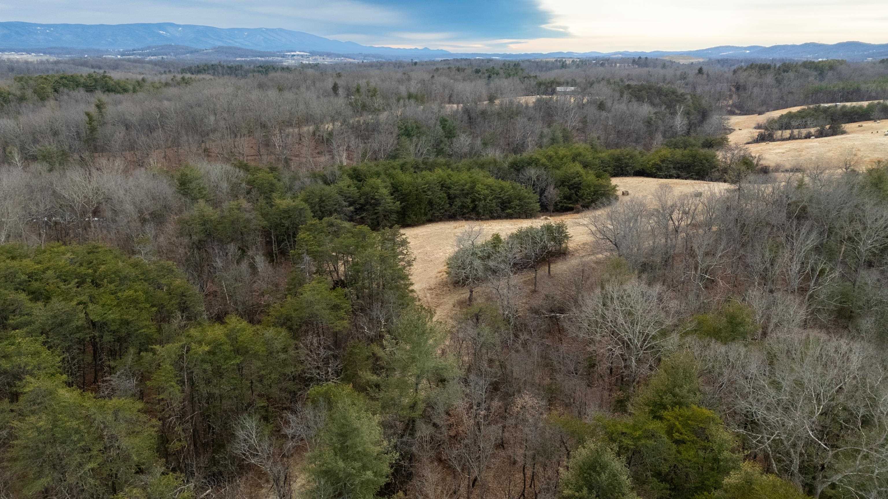 577 HAMMOND LN, STAUNTON, Virginia 24401, ,Land,577 HAMMOND LN,673745 MLS # 673745