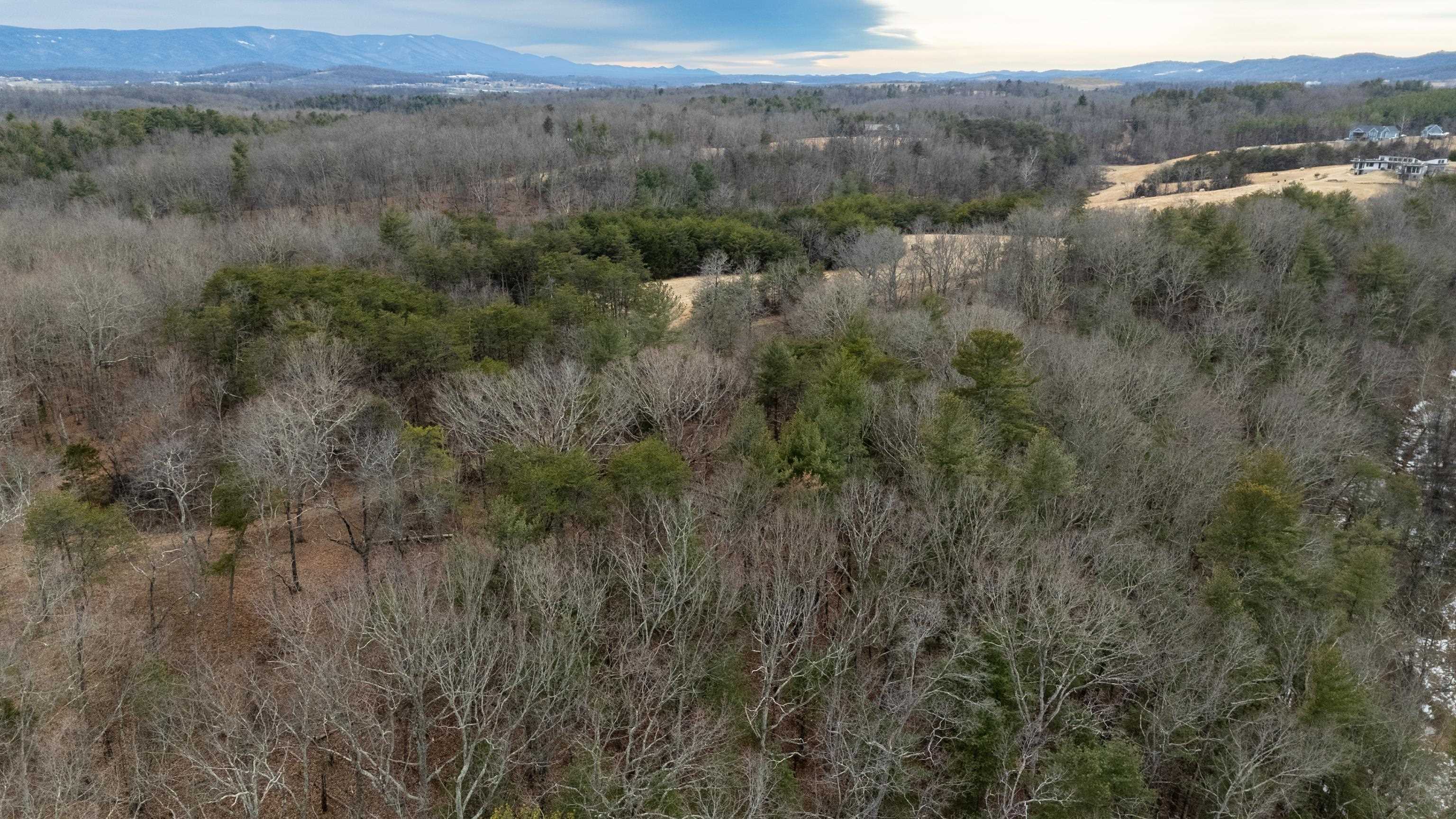 577 HAMMOND LN, STAUNTON, Virginia 24401, ,Land,577 HAMMOND LN,673745 MLS # 673745