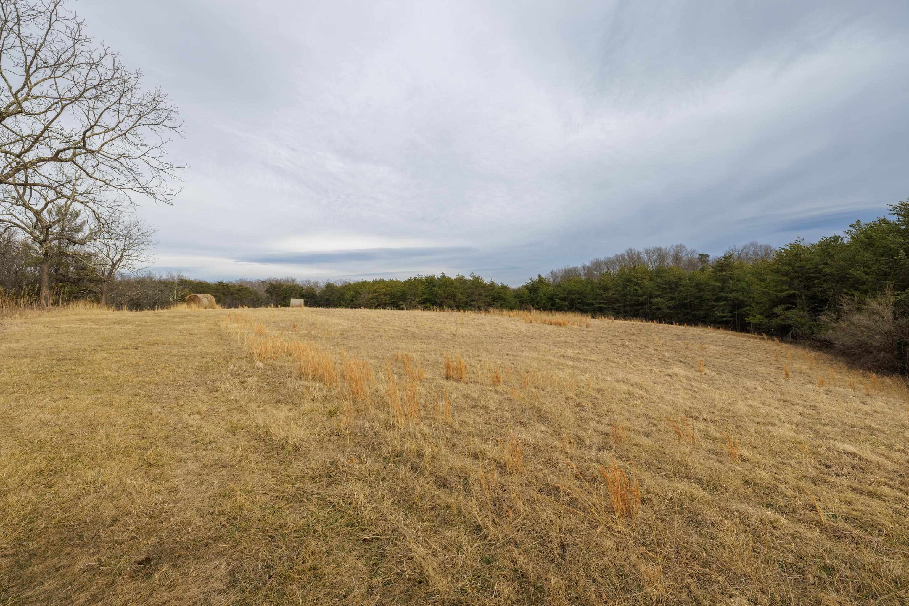 577 HAMMOND LN, STAUNTON, Virginia 24401, ,Land,577 HAMMOND LN,673745 MLS # 673745