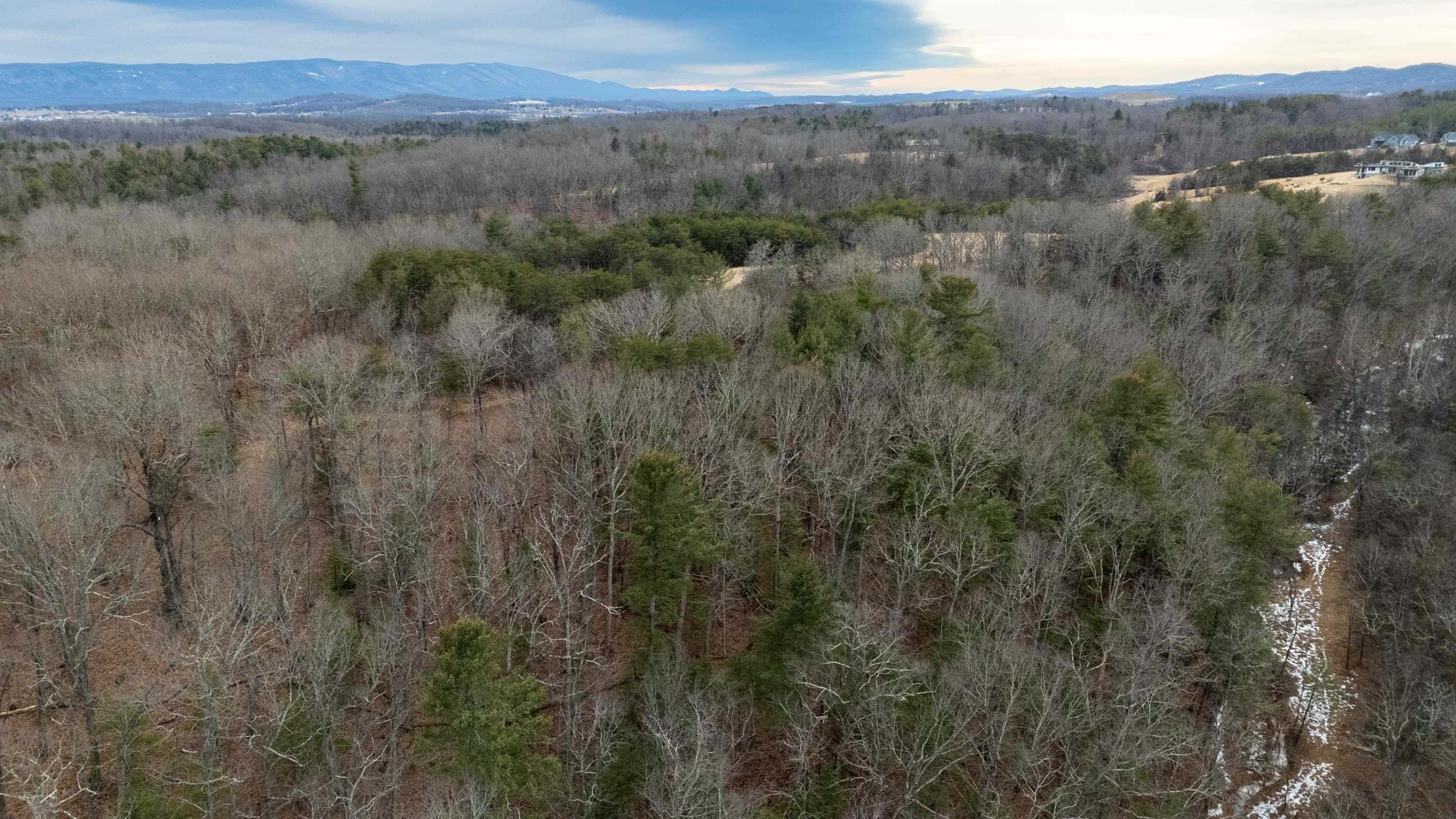 577 HAMMOND LN, STAUNTON, Virginia 24401, ,Land,577 HAMMOND LN,673745 MLS # 673745