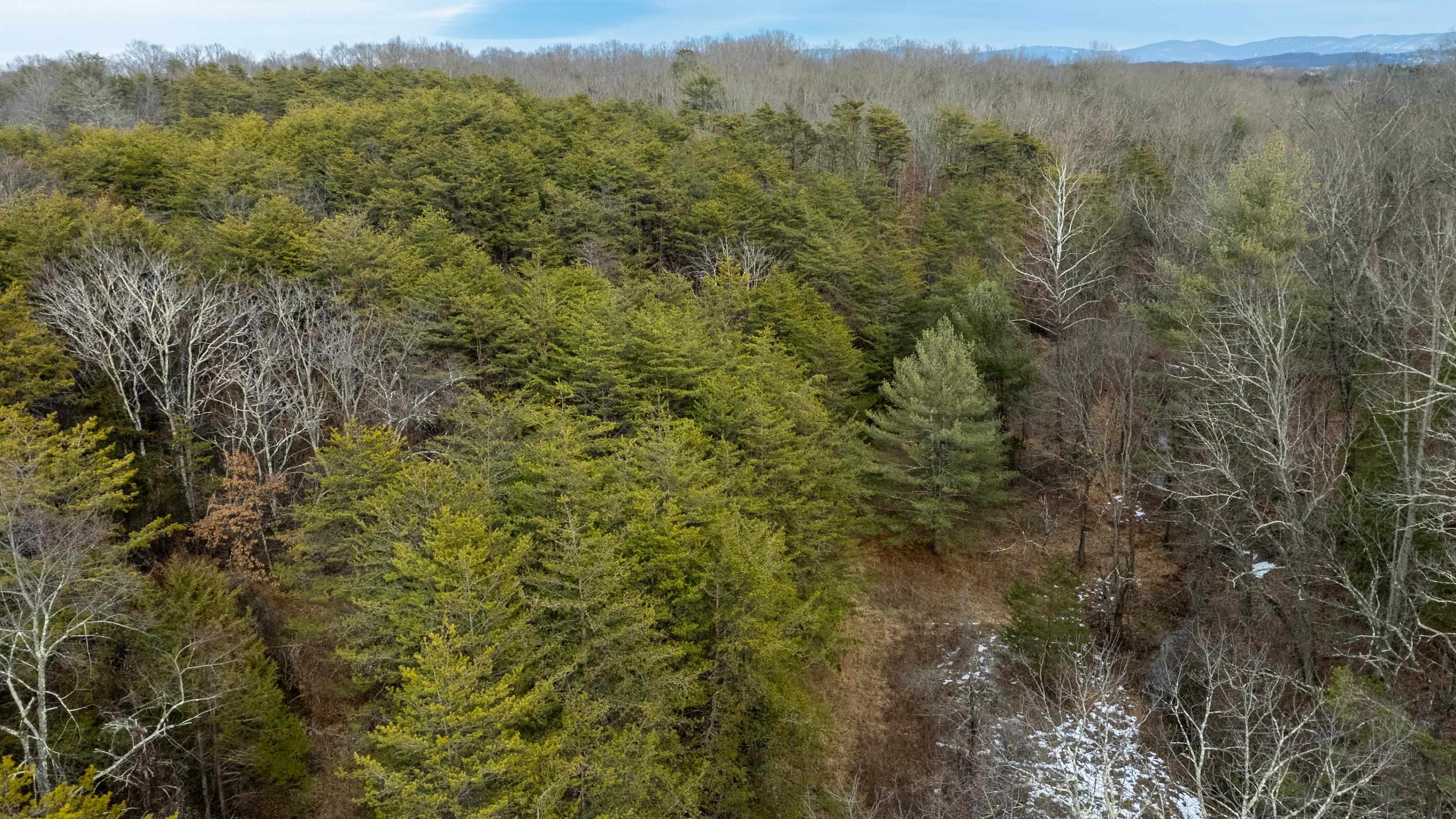 577 HAMMOND LN, STAUNTON, Virginia 24401, ,Land,577 HAMMOND LN,673745 MLS # 673745