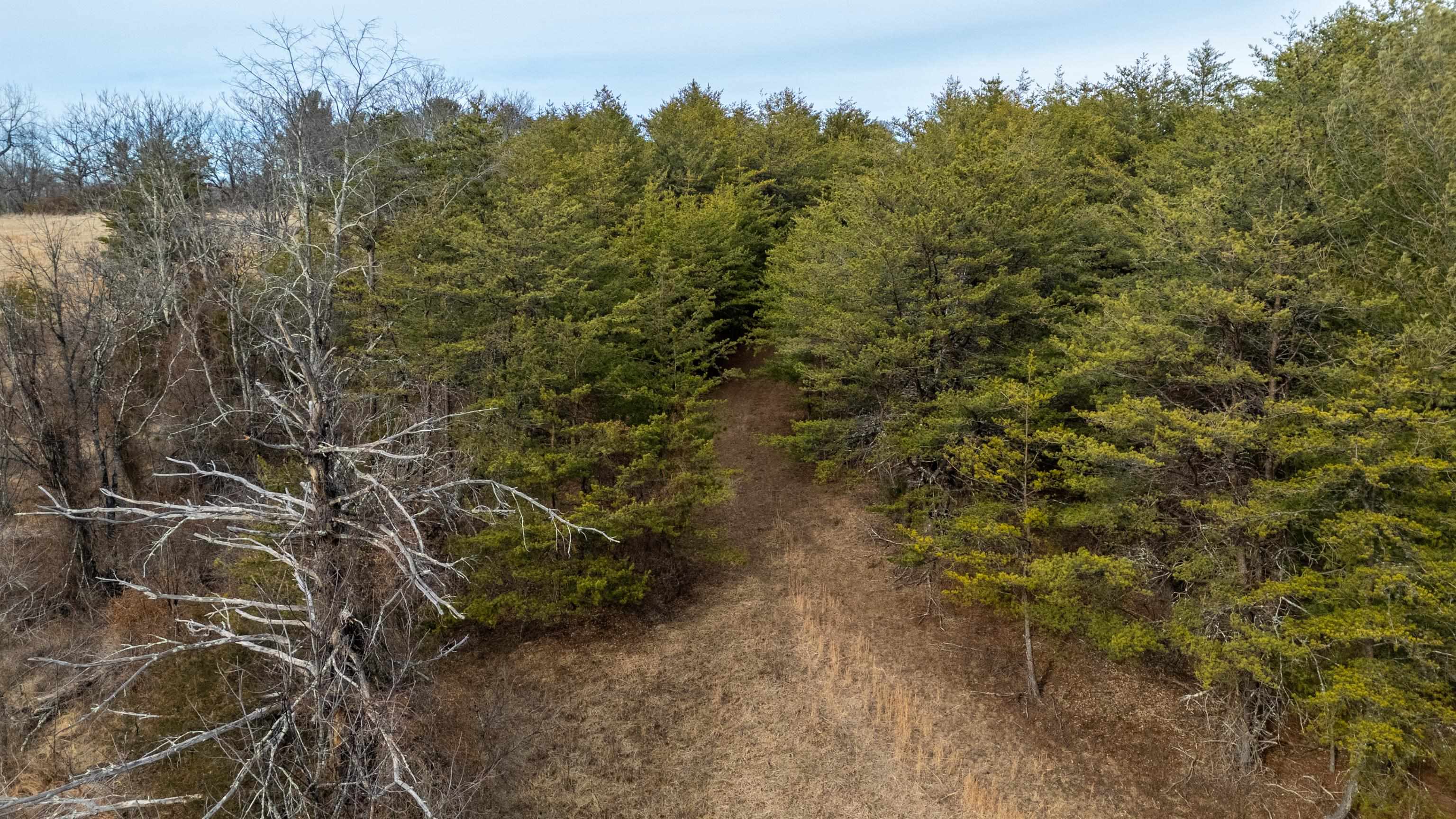 577 HAMMOND LN, STAUNTON, Virginia 24401, ,Land,577 HAMMOND LN,673745 MLS # 673745