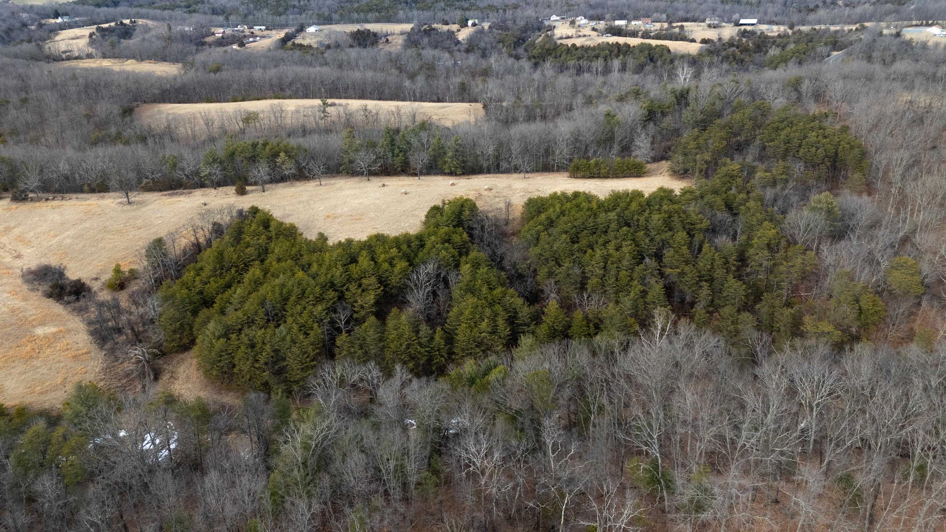 577 HAMMOND LN, STAUNTON, Virginia 24401, ,Land,577 HAMMOND LN,673745 MLS # 673745